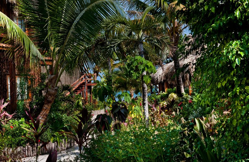 Ramon's Village Resort, photo 91