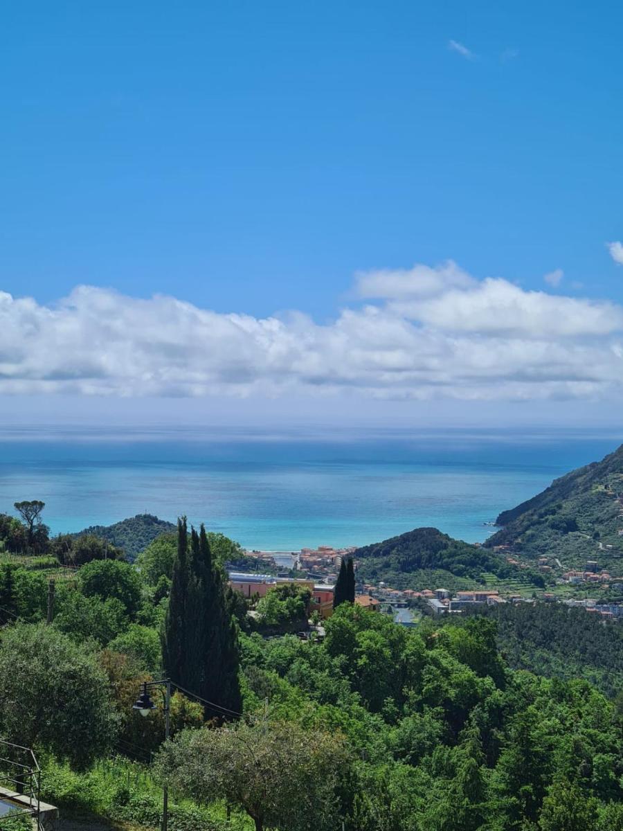La Casetta del Casale In Vigna, CinqueTerreCoast photo 1