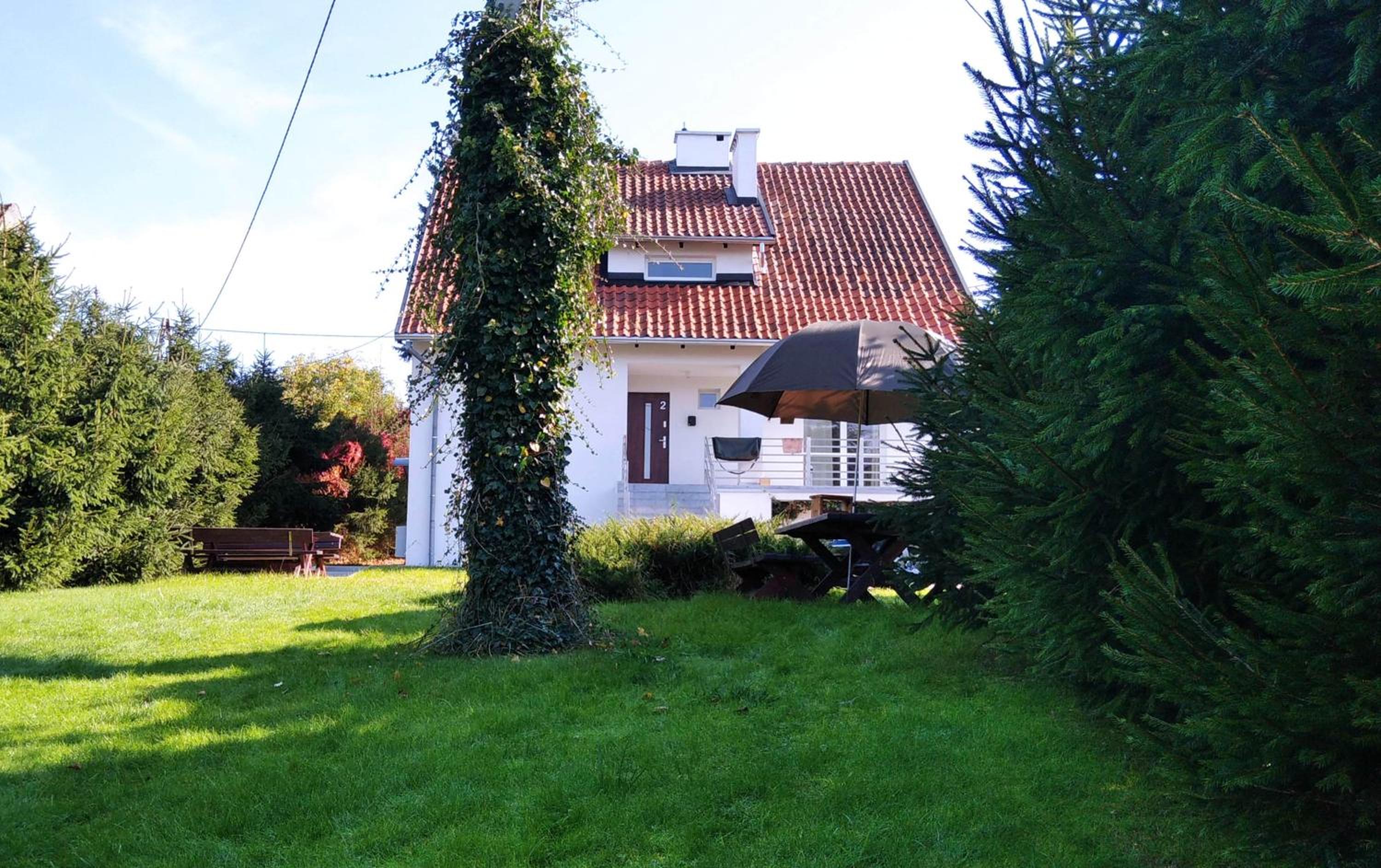 Photo 43