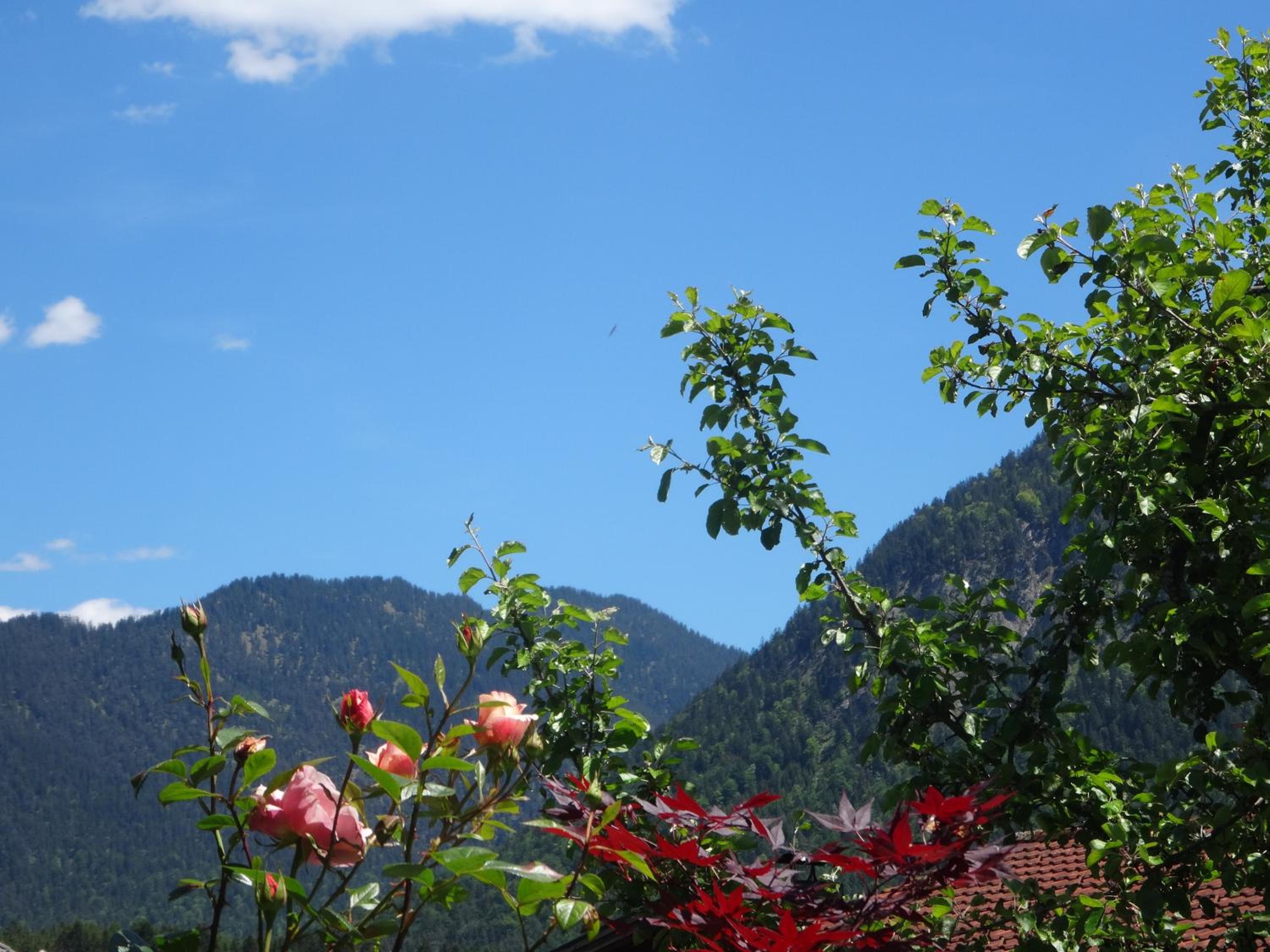 Alpin-Check-in view 5