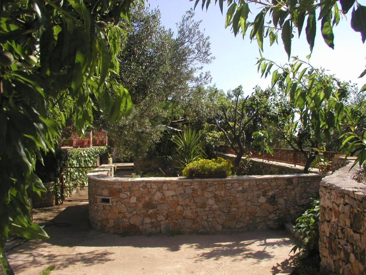 Photo 31