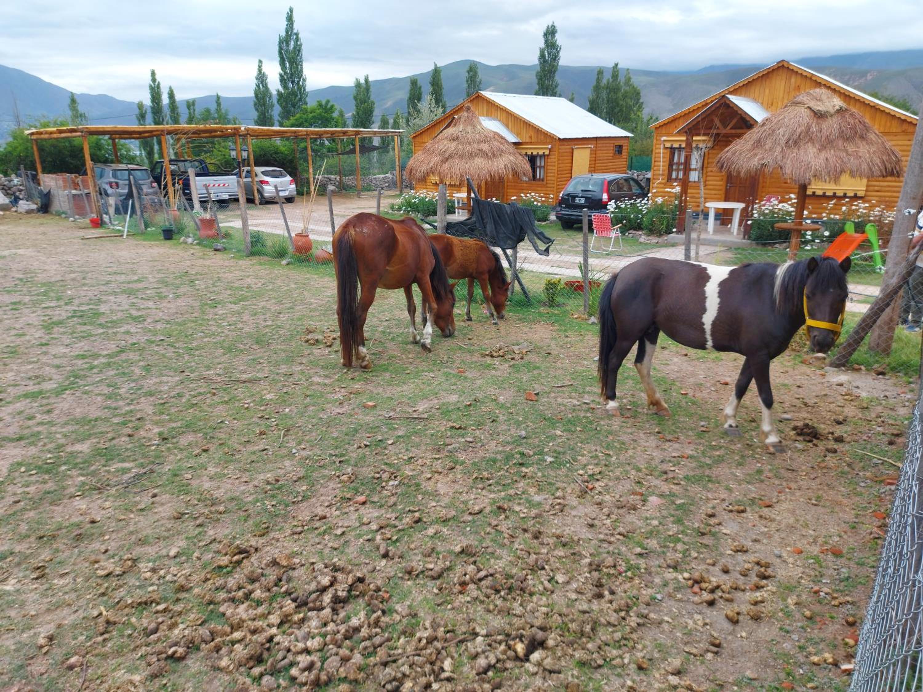 Aires de Tafi