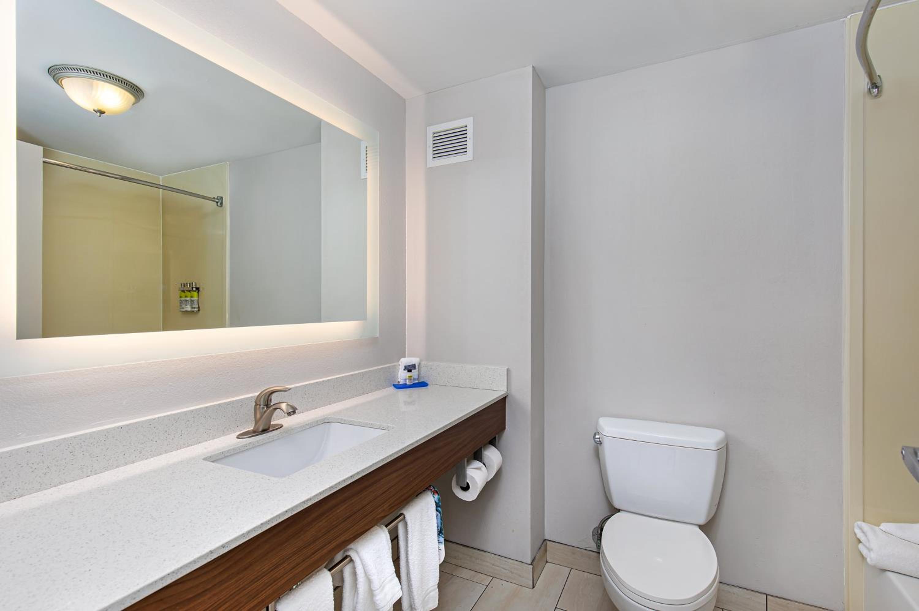 Holiday Inn Express Hotel Suites Mount Juliet - Nashville Area, an IHG Hotel - Property Image 75