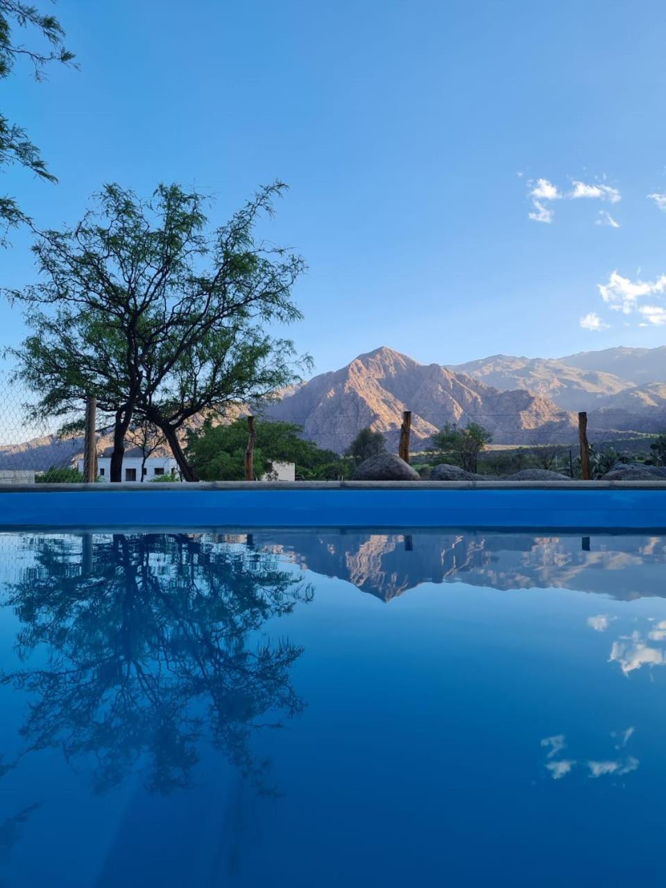 Casa Merlot - Viñedos de Cafayate Alquiler Temporario