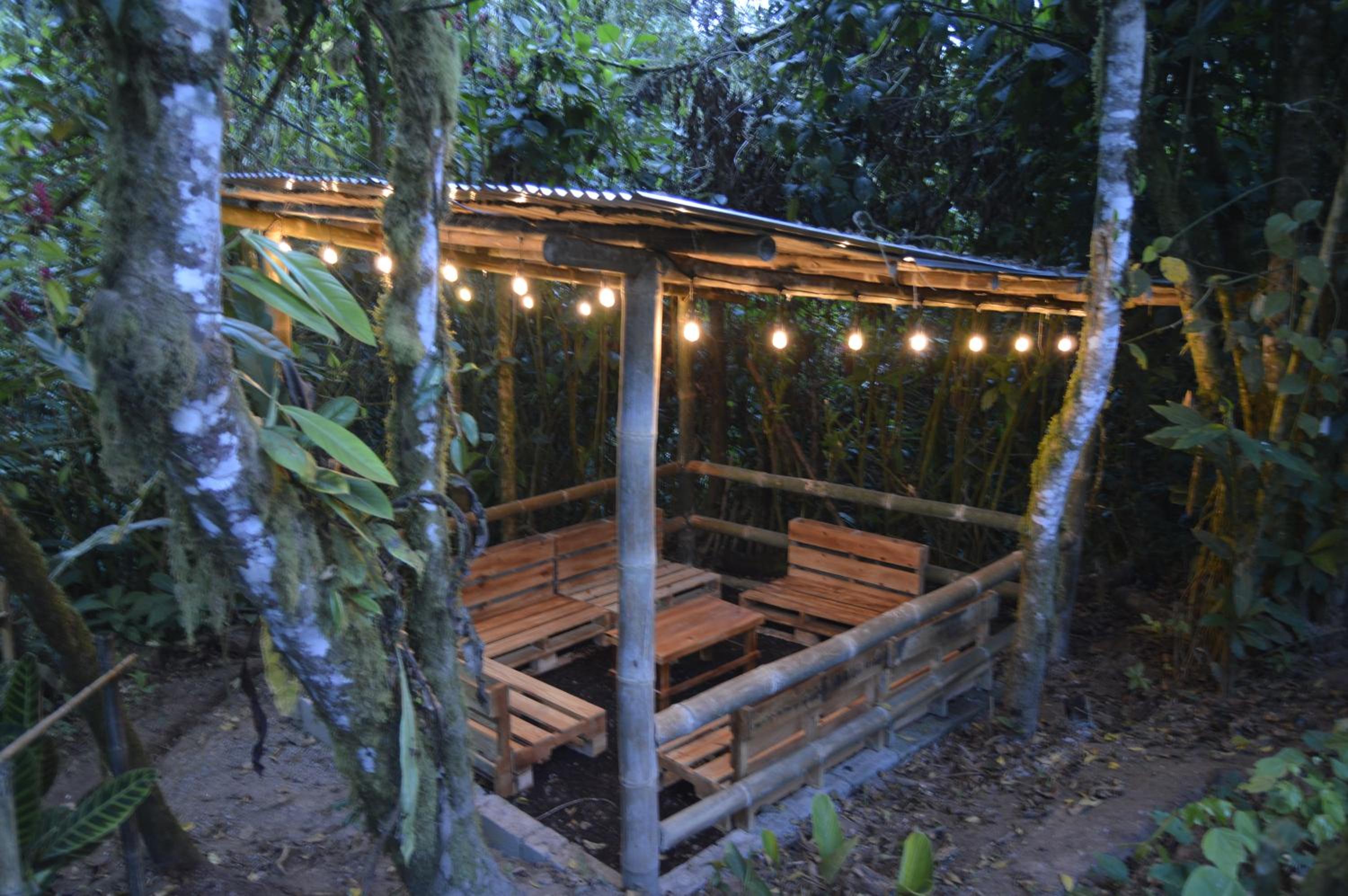 Mindo Green House
