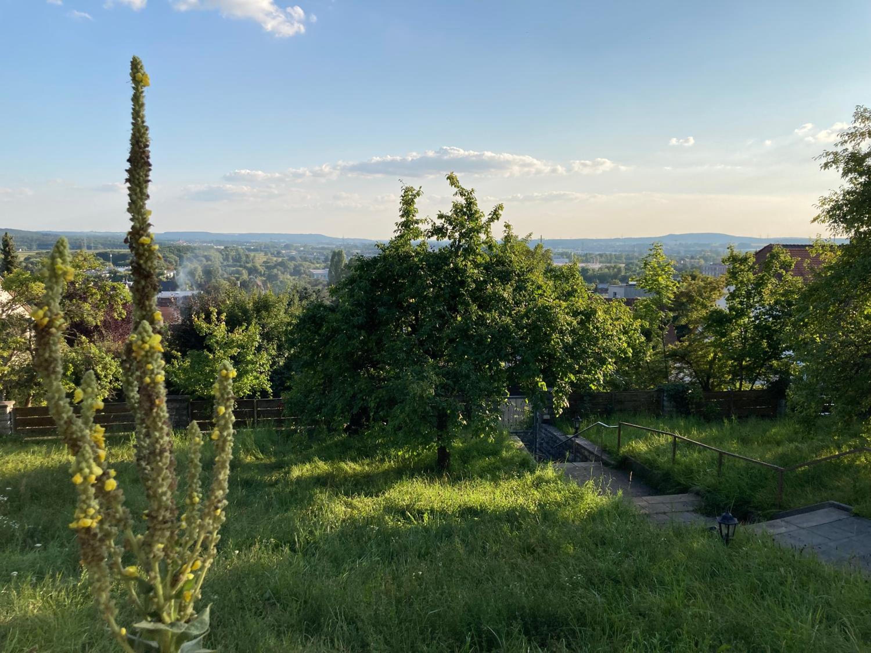 Ferienwohnung Panorama, photo 13