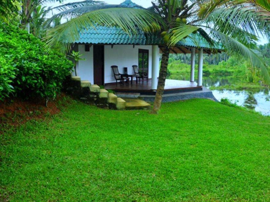Jungle Heart Cabanas