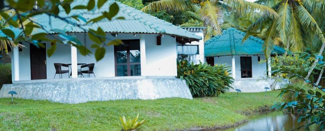Jungle Heart Cabanas