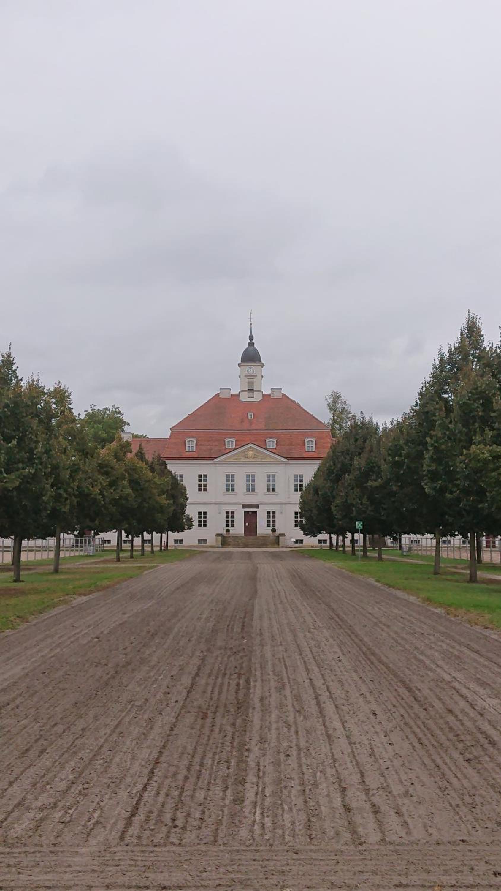 Fewo in Neustadt/Dosse, der Stadt der Pferde view 3