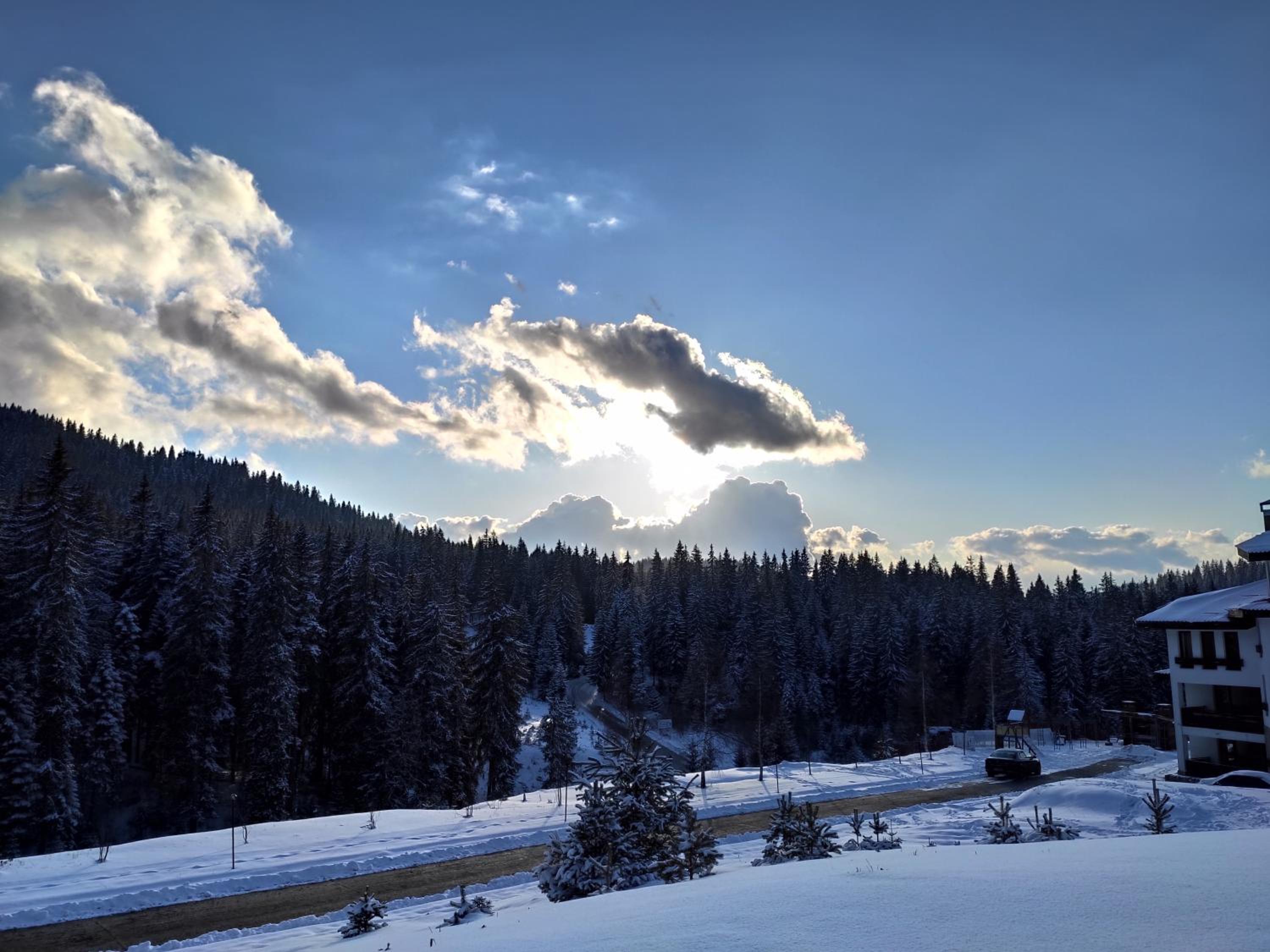 Forest Dream Apartment - Elit Pamporovo