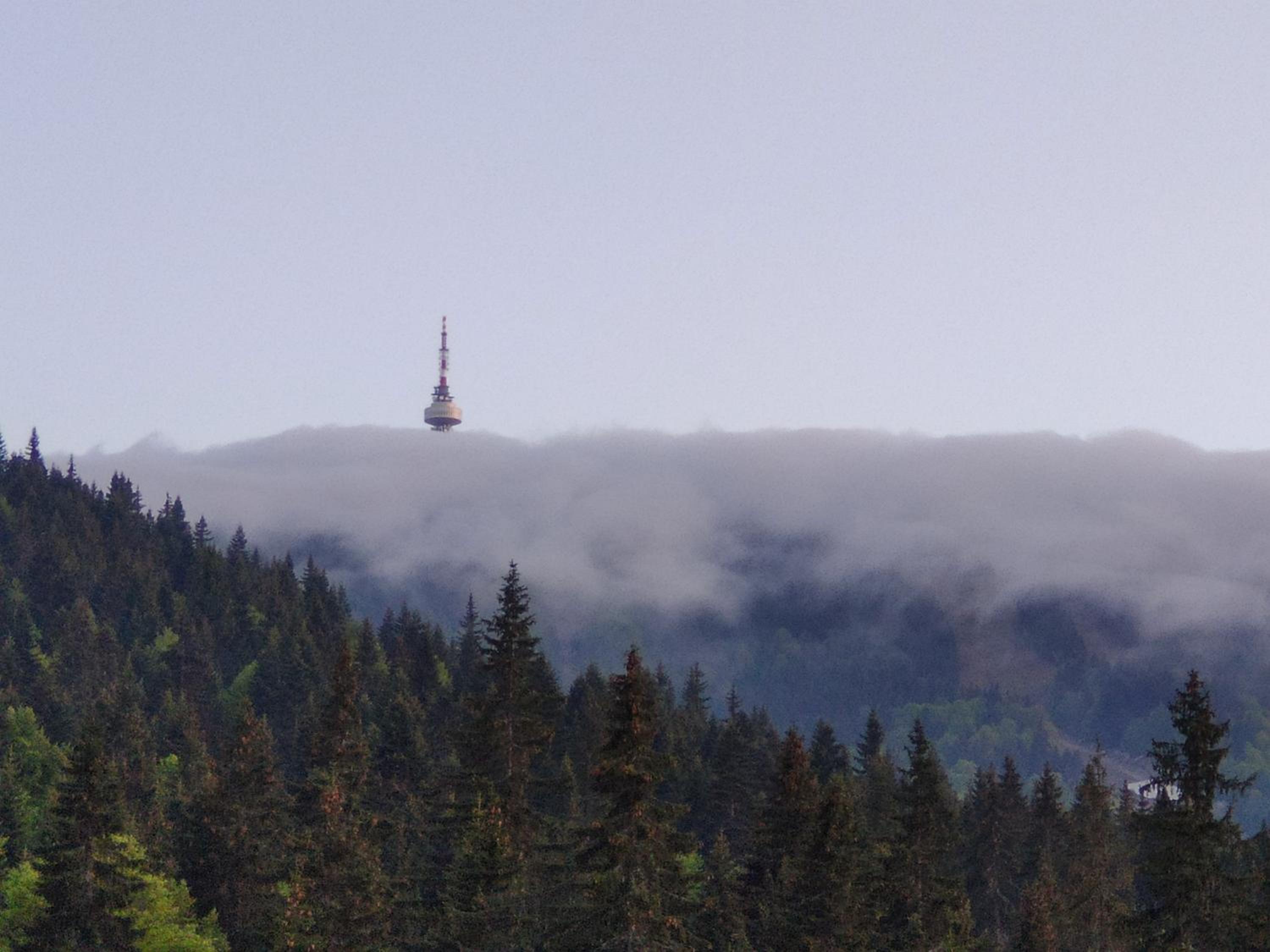 Forest Dream Apartment - Elit Pamporovo