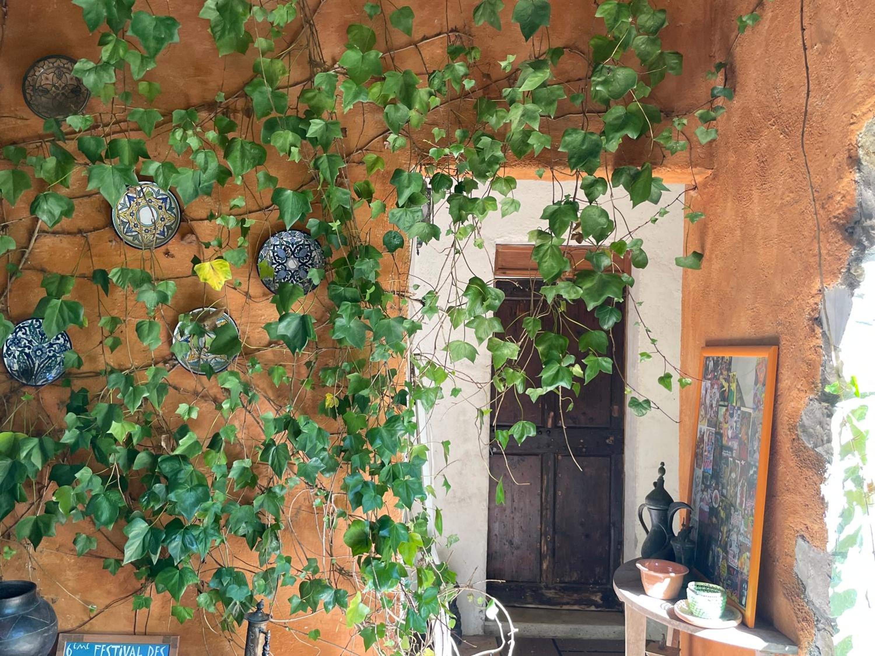 Photo 19