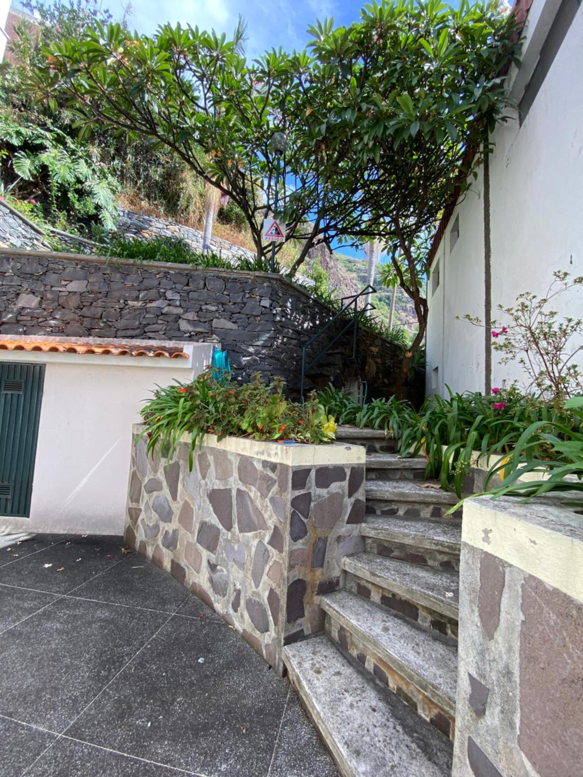 The Palms Apartment - Sun & Sea Madeira view 4