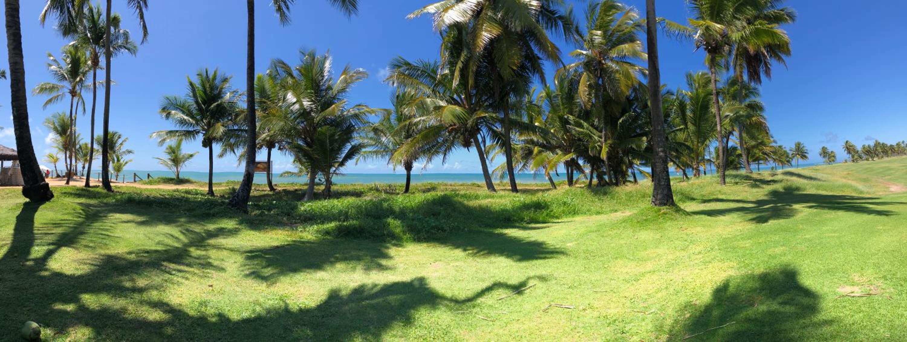 O Paraíso que você merece view 4