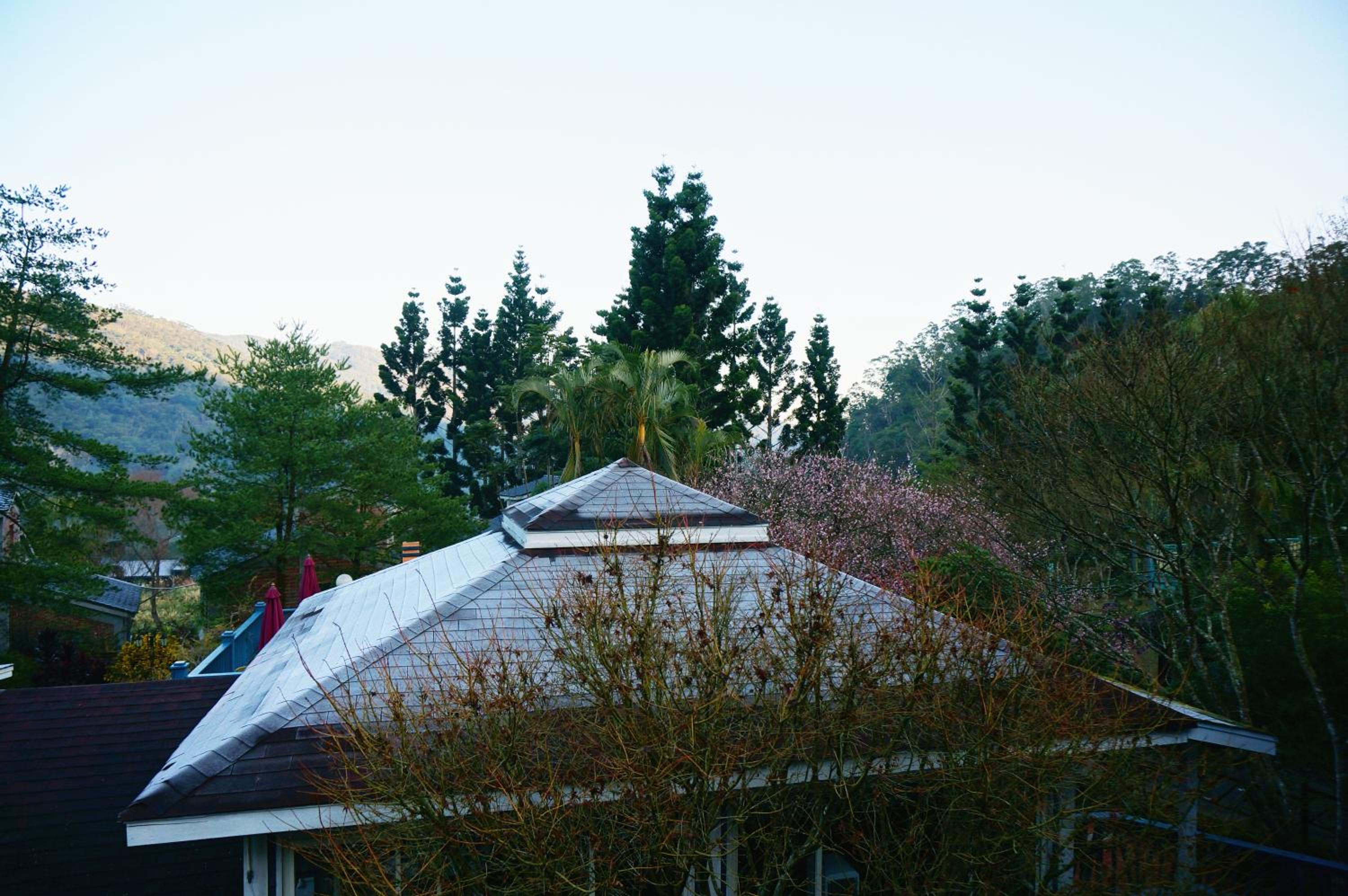 Li Jin Kuan Homestay