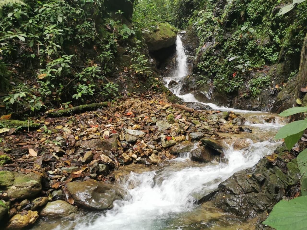 Finca TRADICIONAL EL OTOÑO