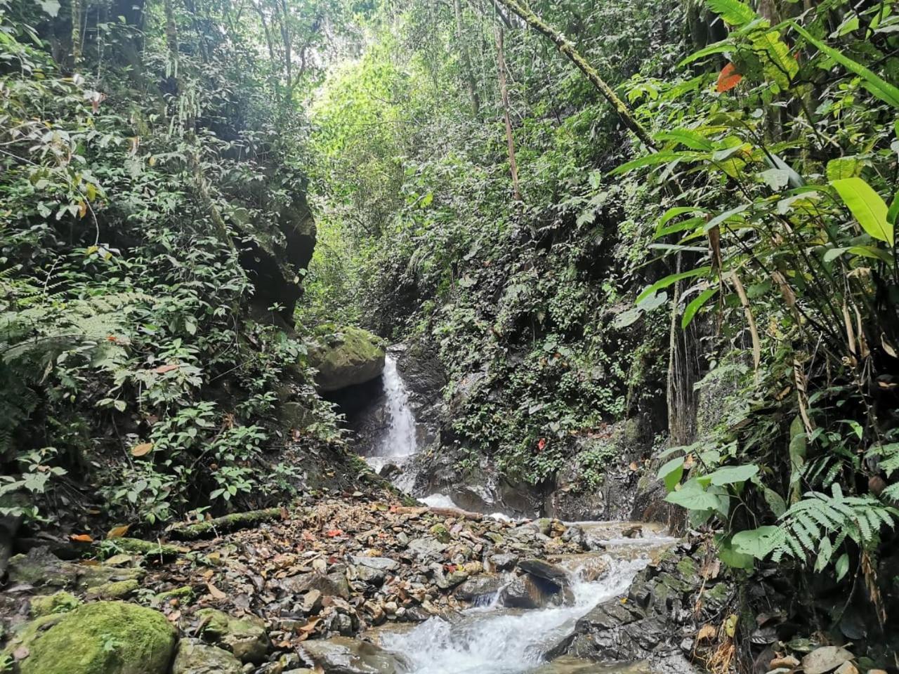 Finca TRADICIONAL EL OTOÑO