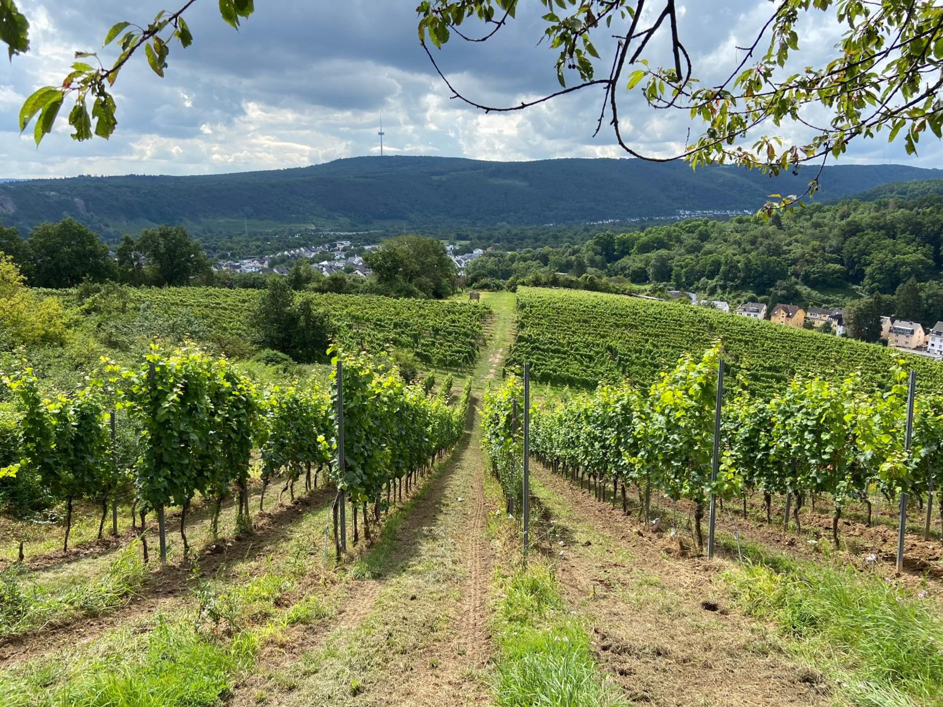 Lieblingsplatz Koblenz