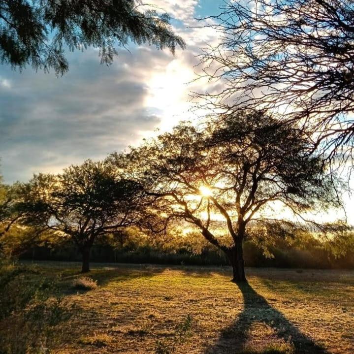 Cabañas Los Algarrobos