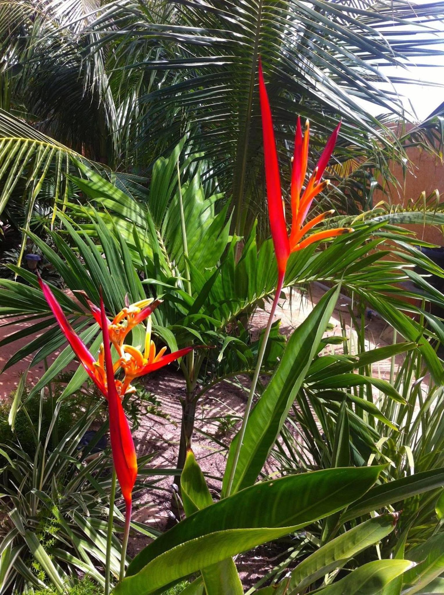Casa do Jardim- Villa Botanica