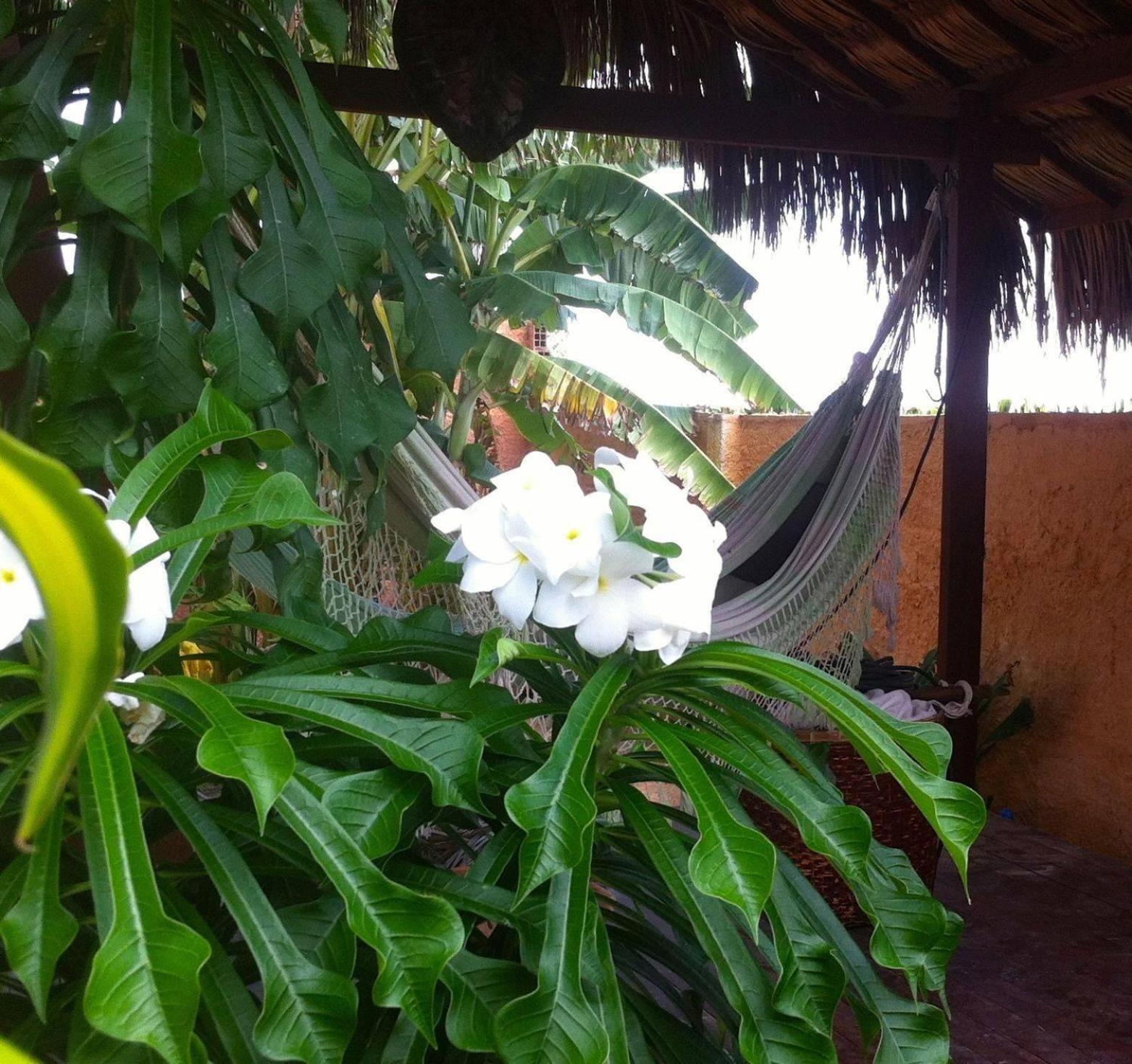 Casa do Jardim- Villa Botanica