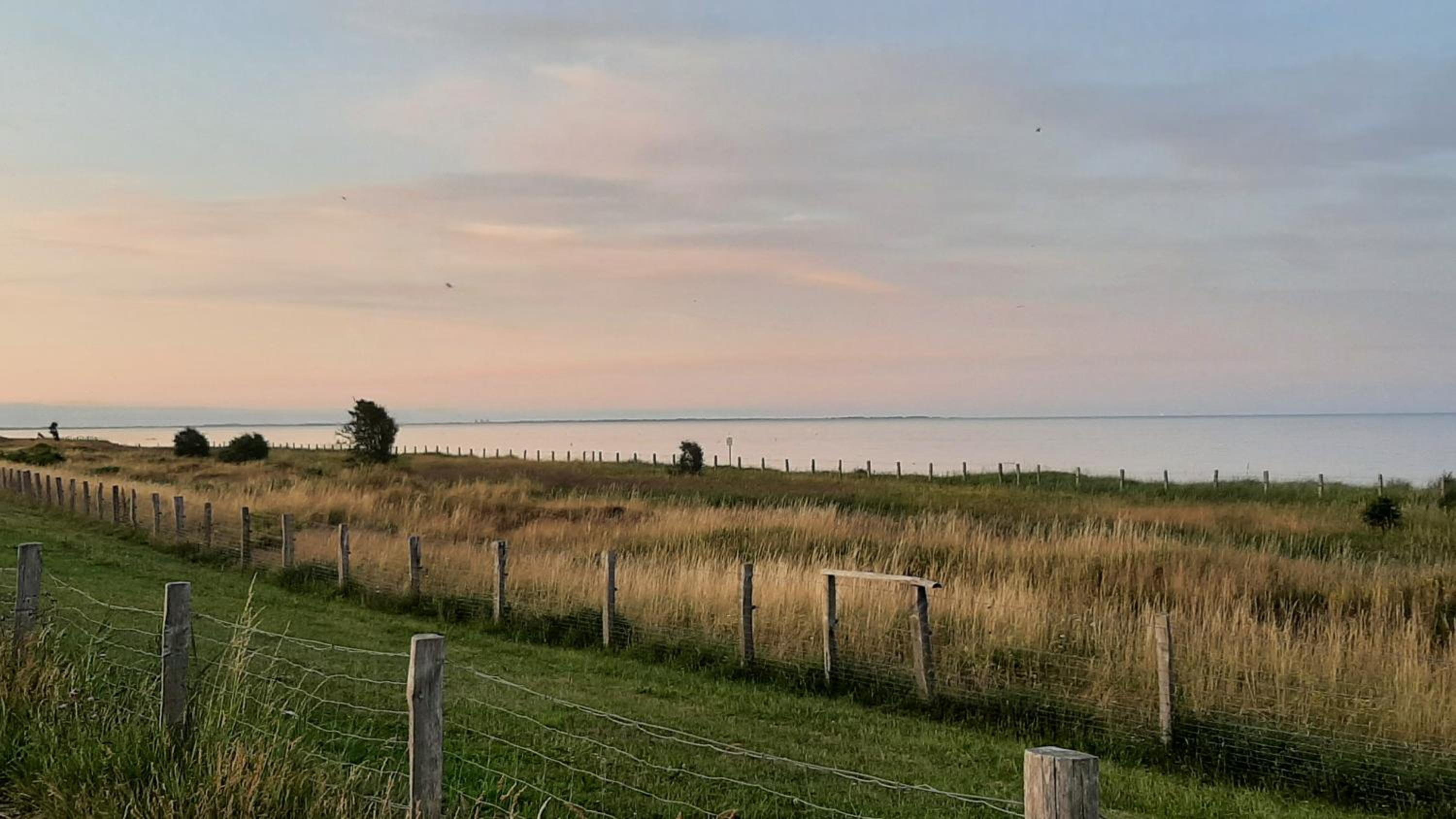 Strandkorb 29 - gemütliche neu sanierte FeWo an der Ostsee zwischen Dahme und Heiligenhafen