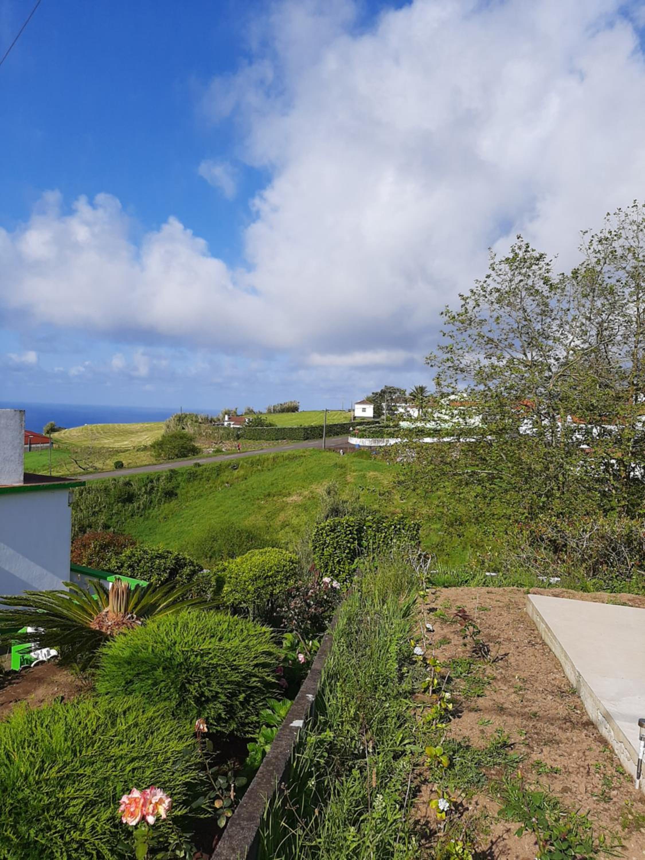 Norverde - Açores view 5