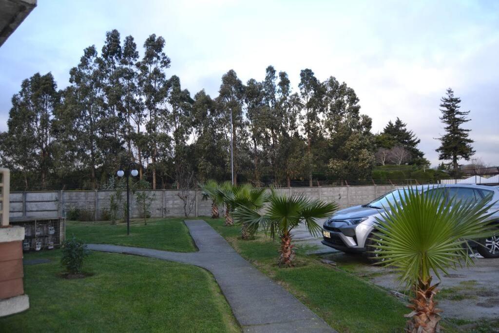 Photo 41