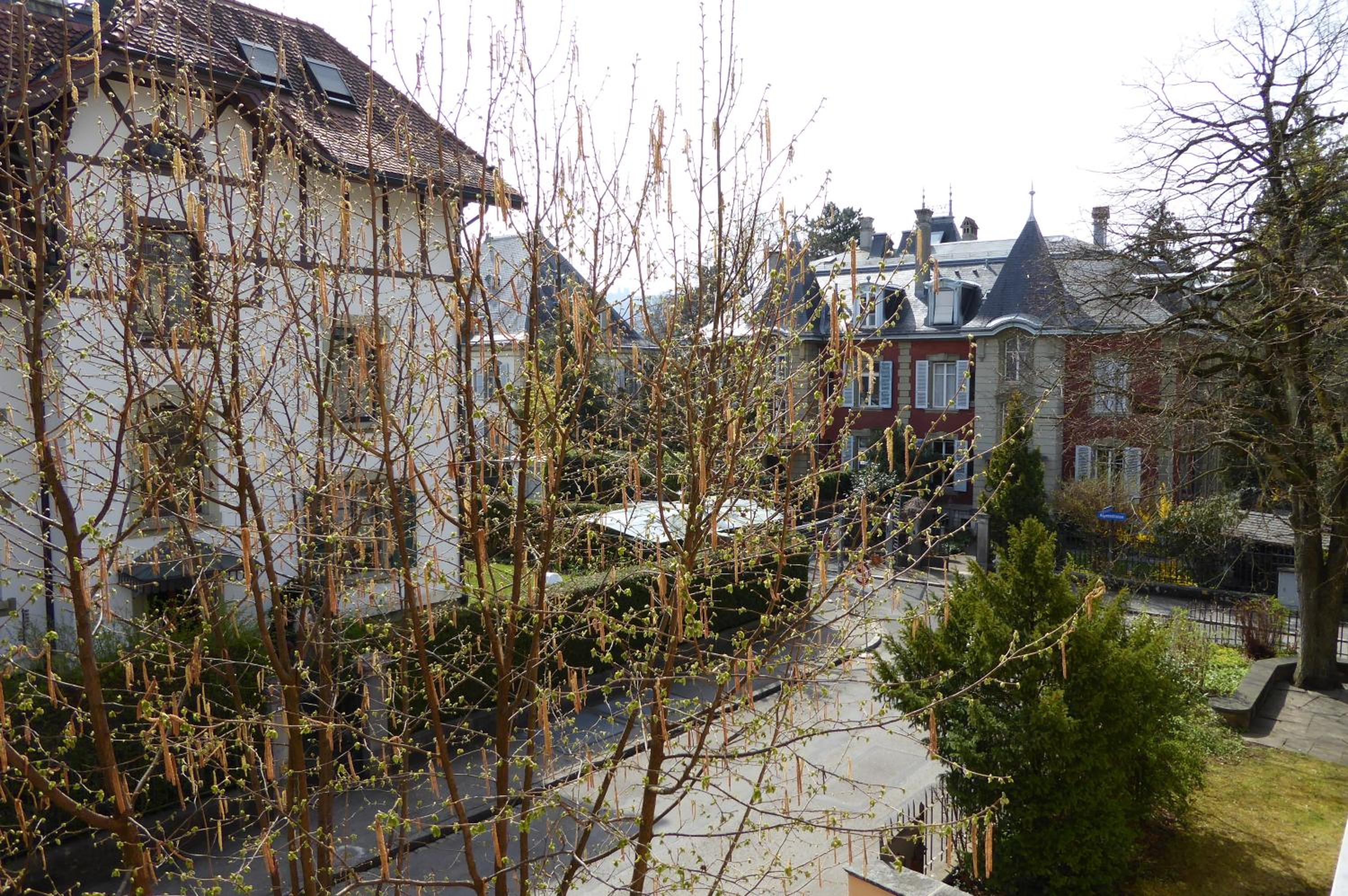 Maison Mosgenstein view 5