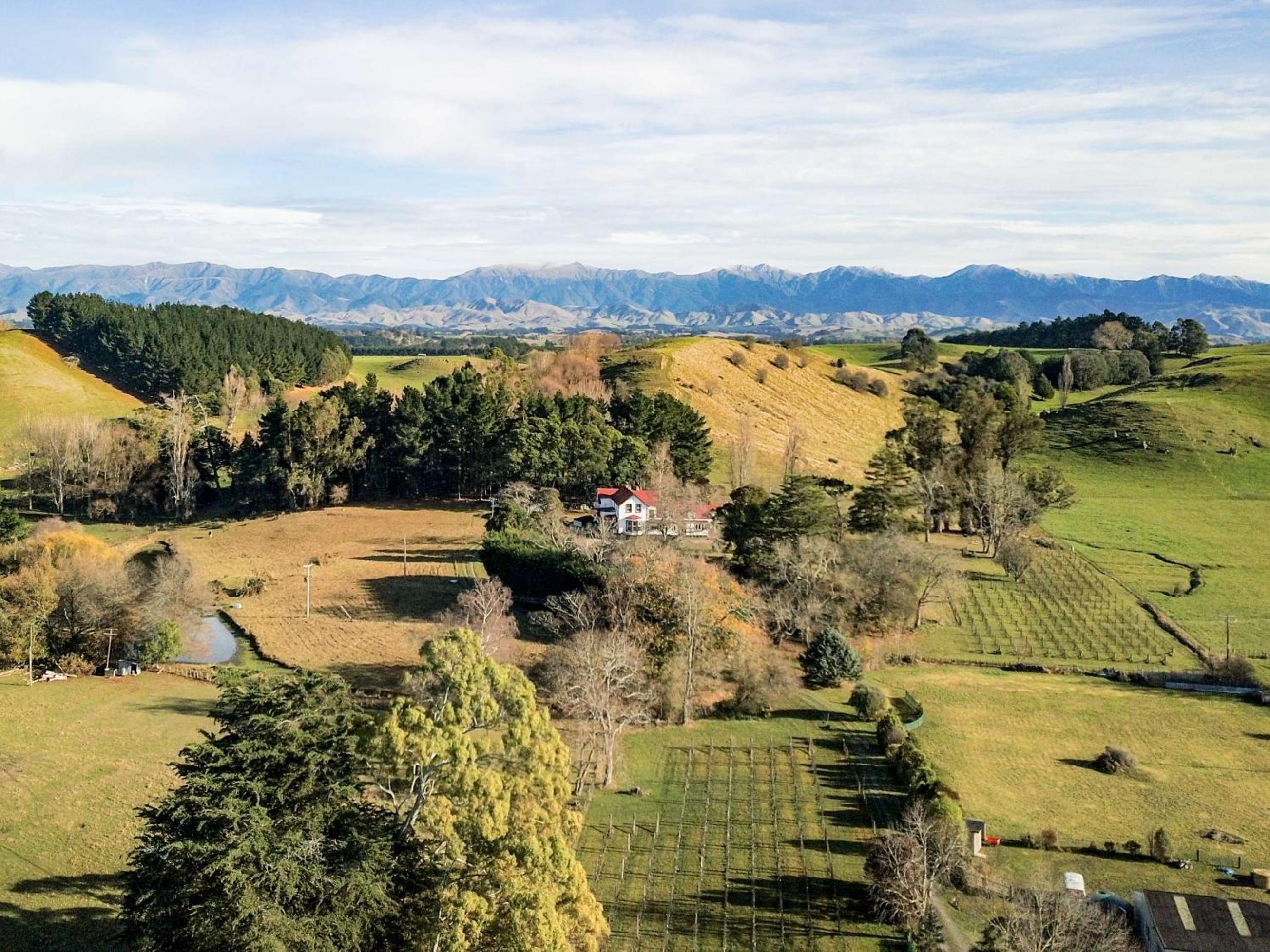 Ashcott Homestead Bed & Breakfast view 2