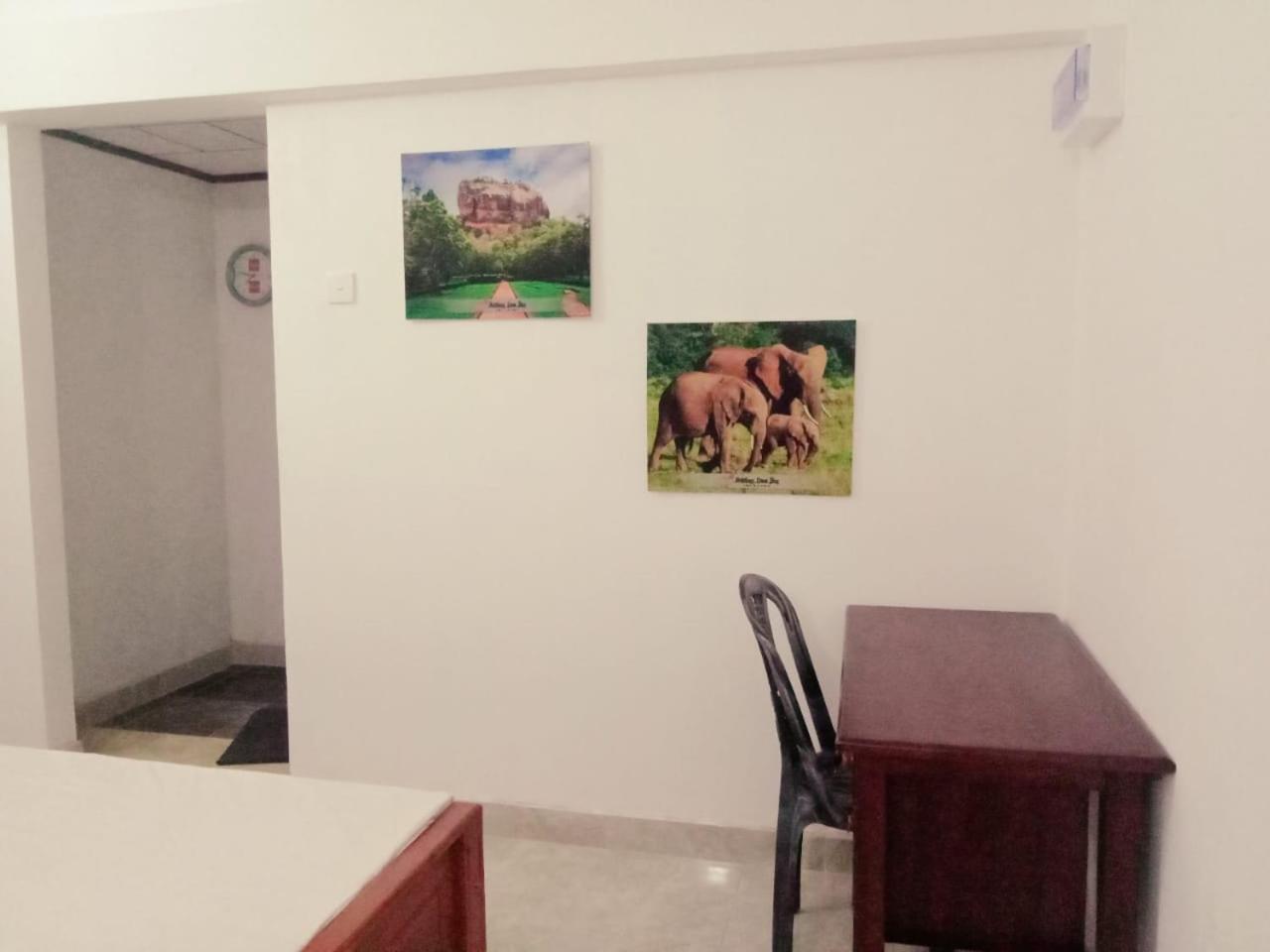 Photo 44