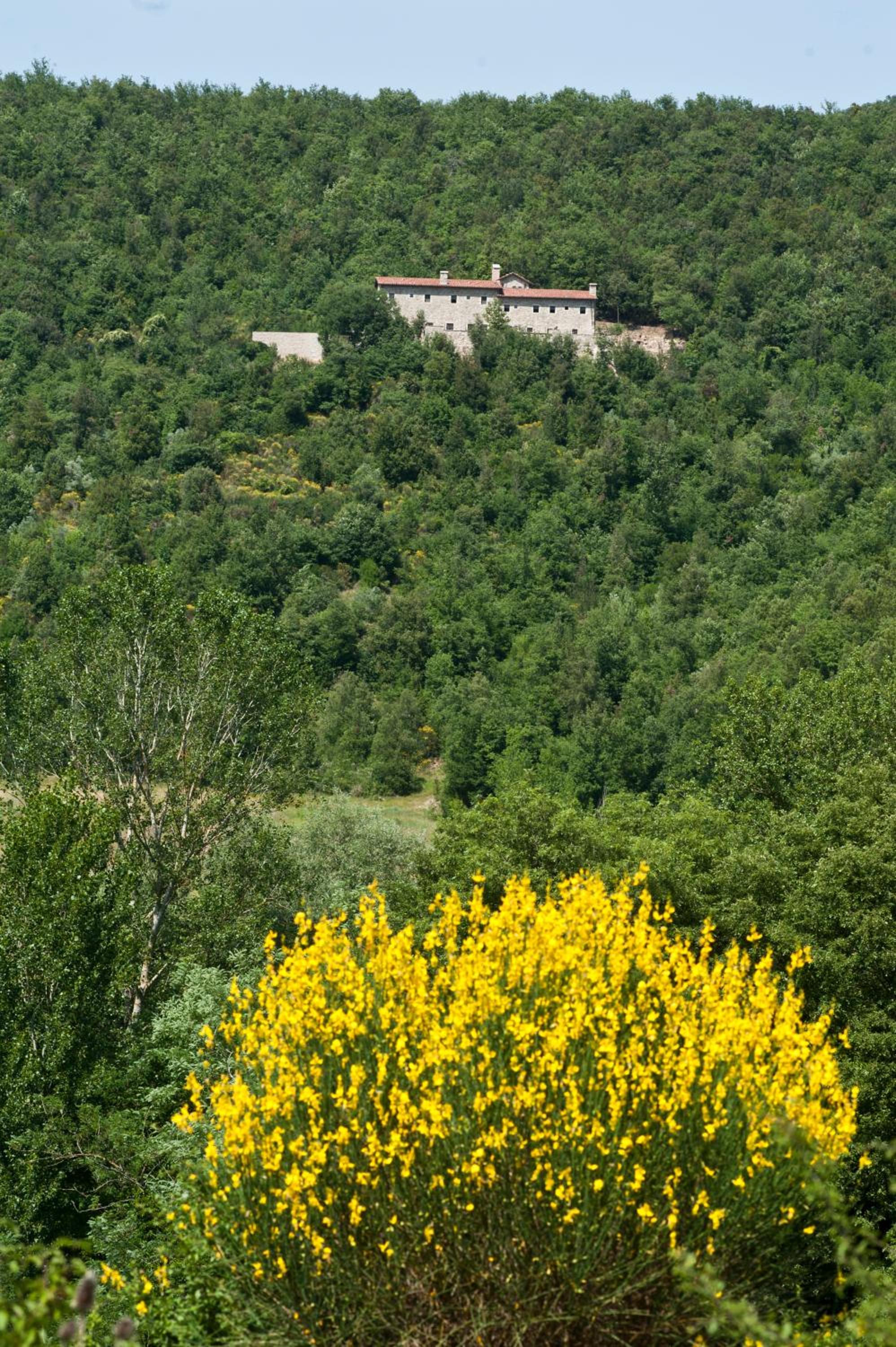 Eremito
