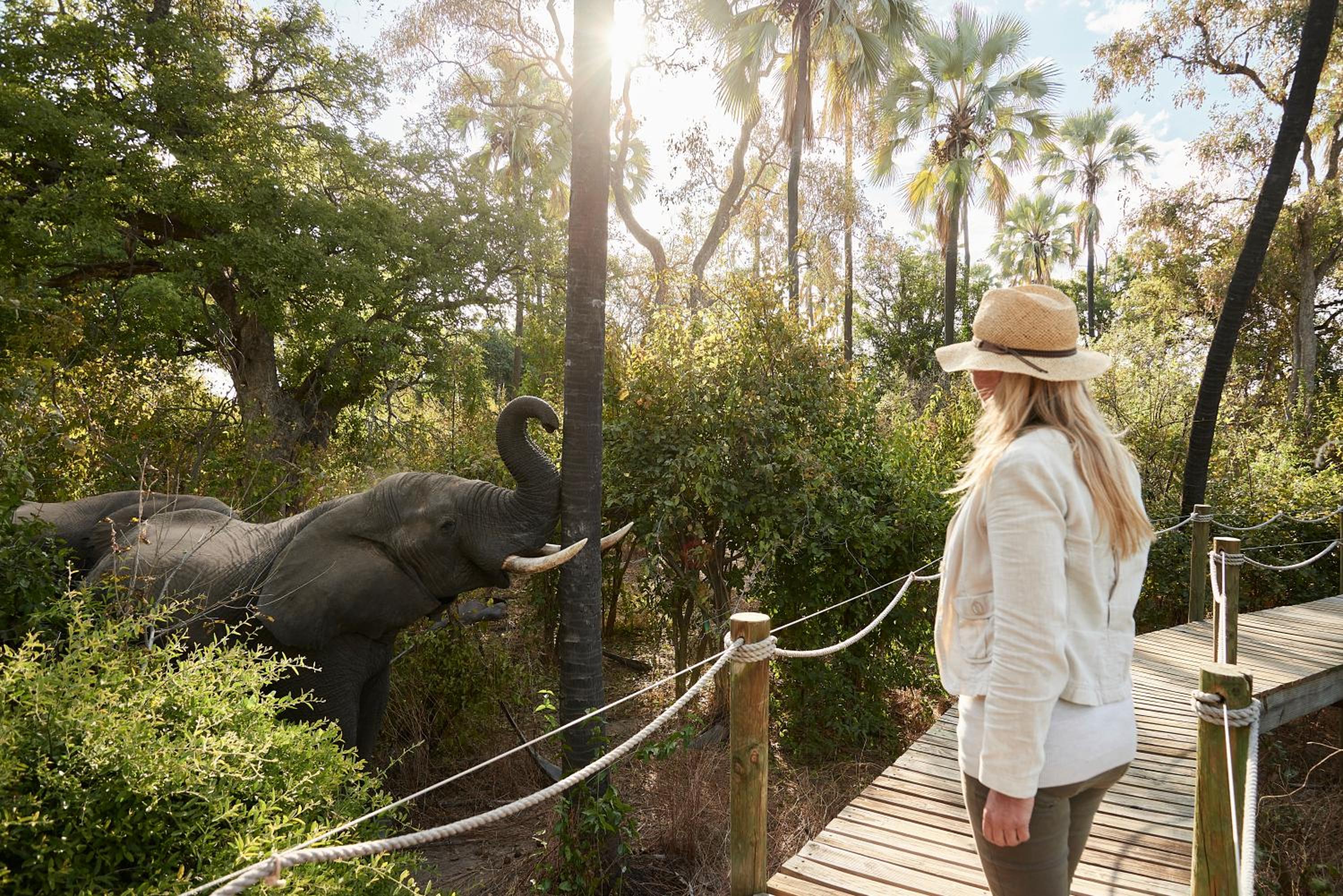 Victoria Falls River Lodge