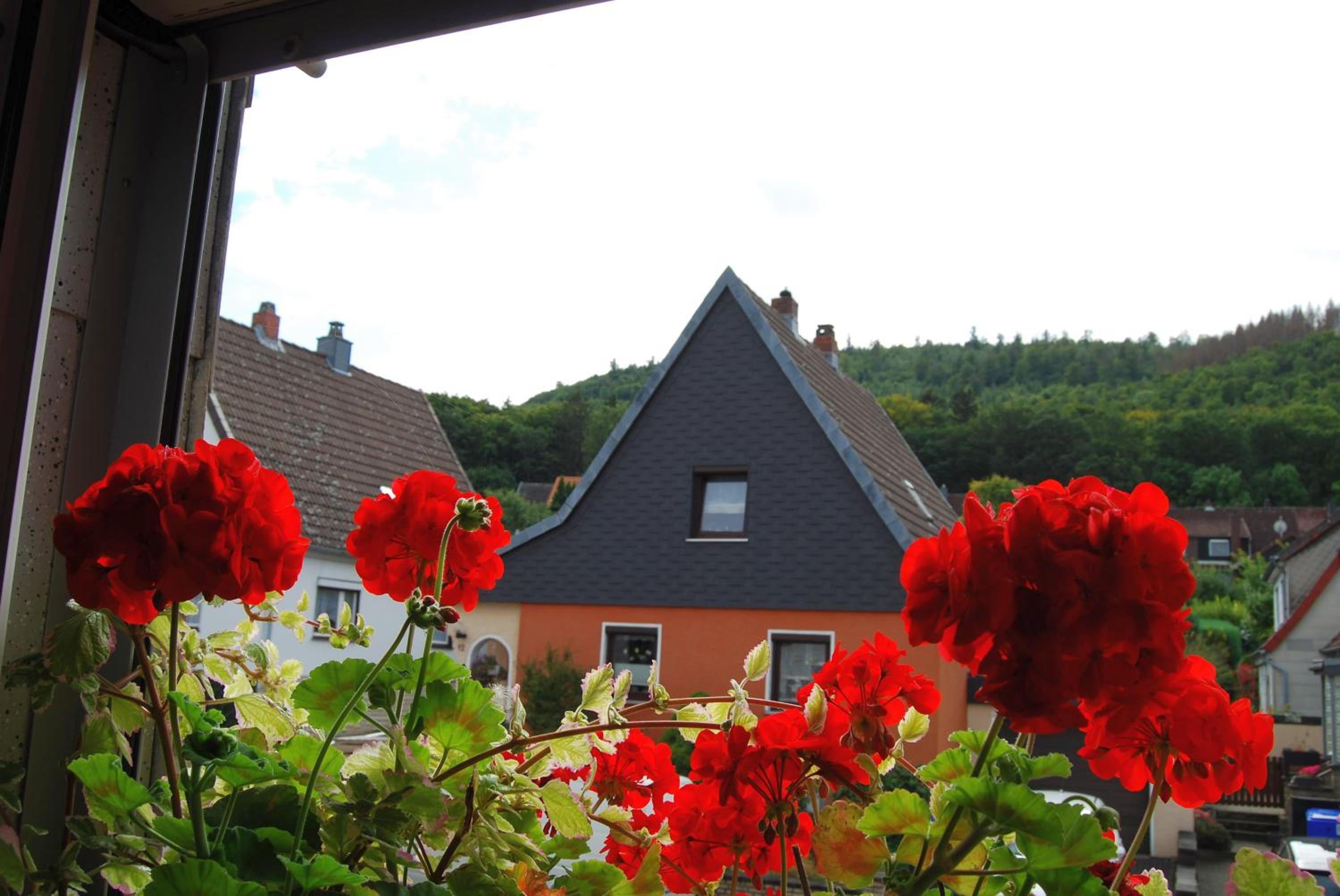 Haus Larrelt