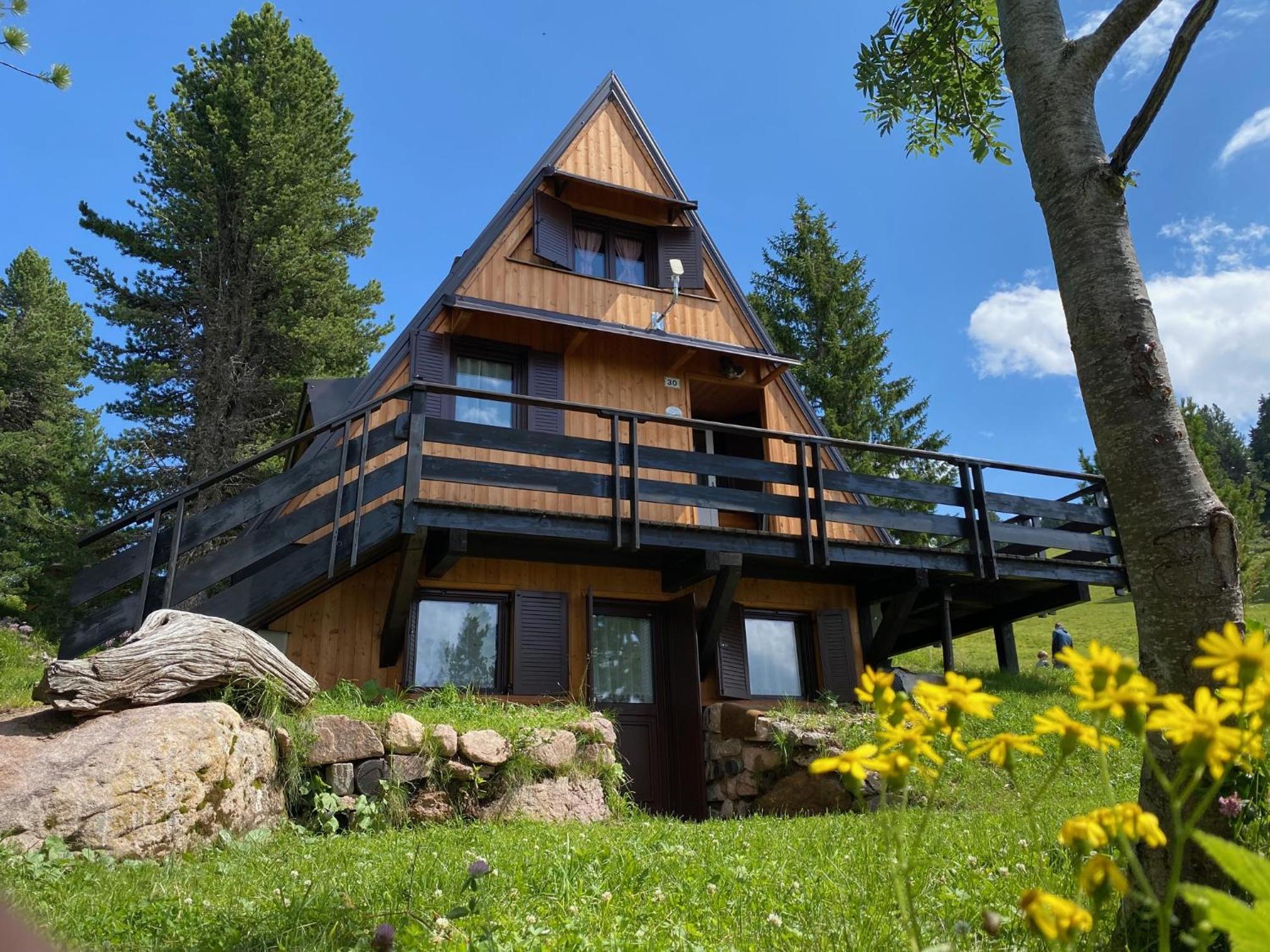 Chalet Paoletta - Alpe Cermis view 2