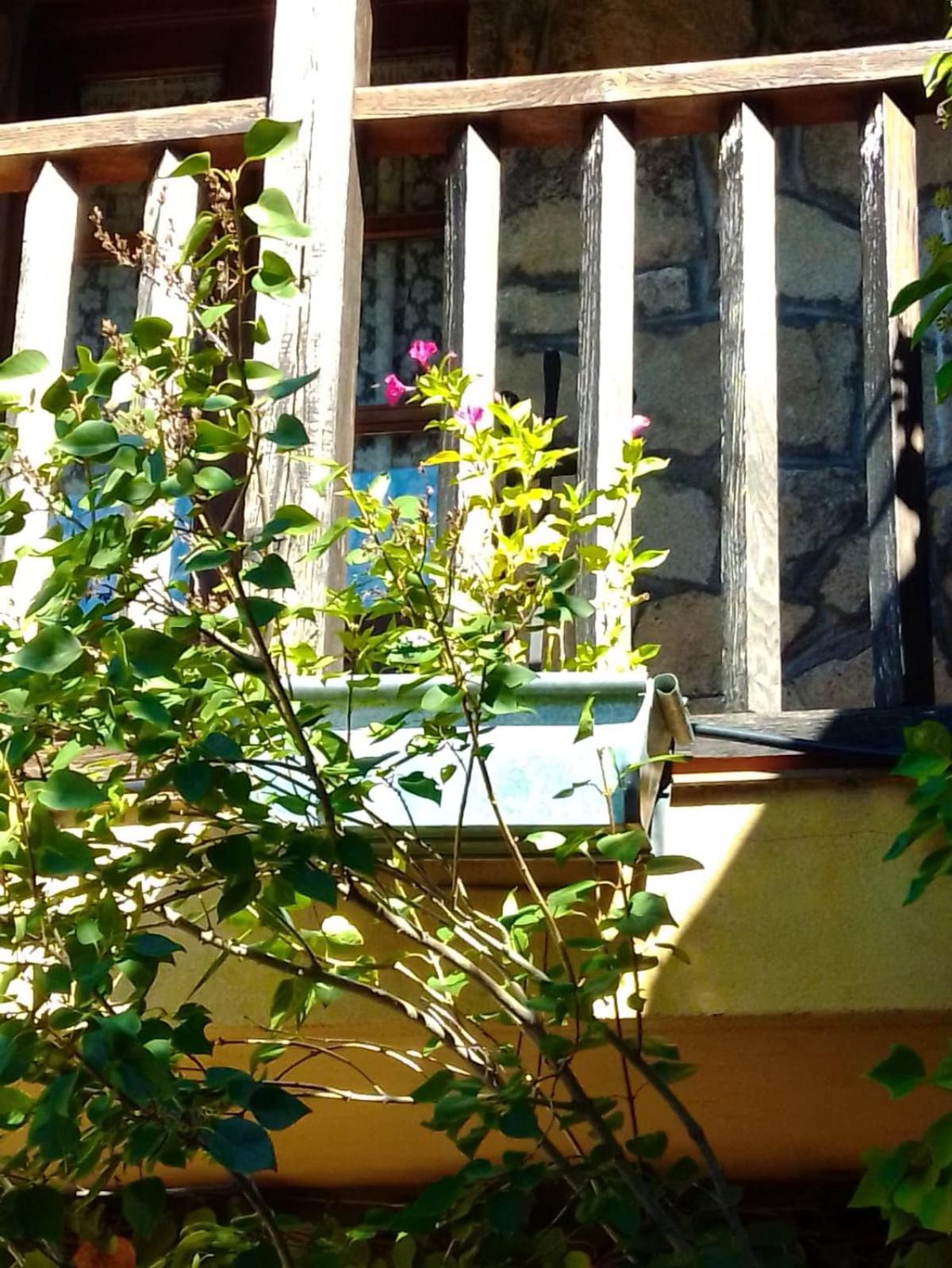 Casa Rural La Luciérnaga Salamanca