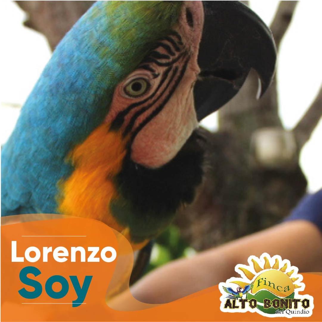 Hotel Campestre Alto Bonito del Quindío