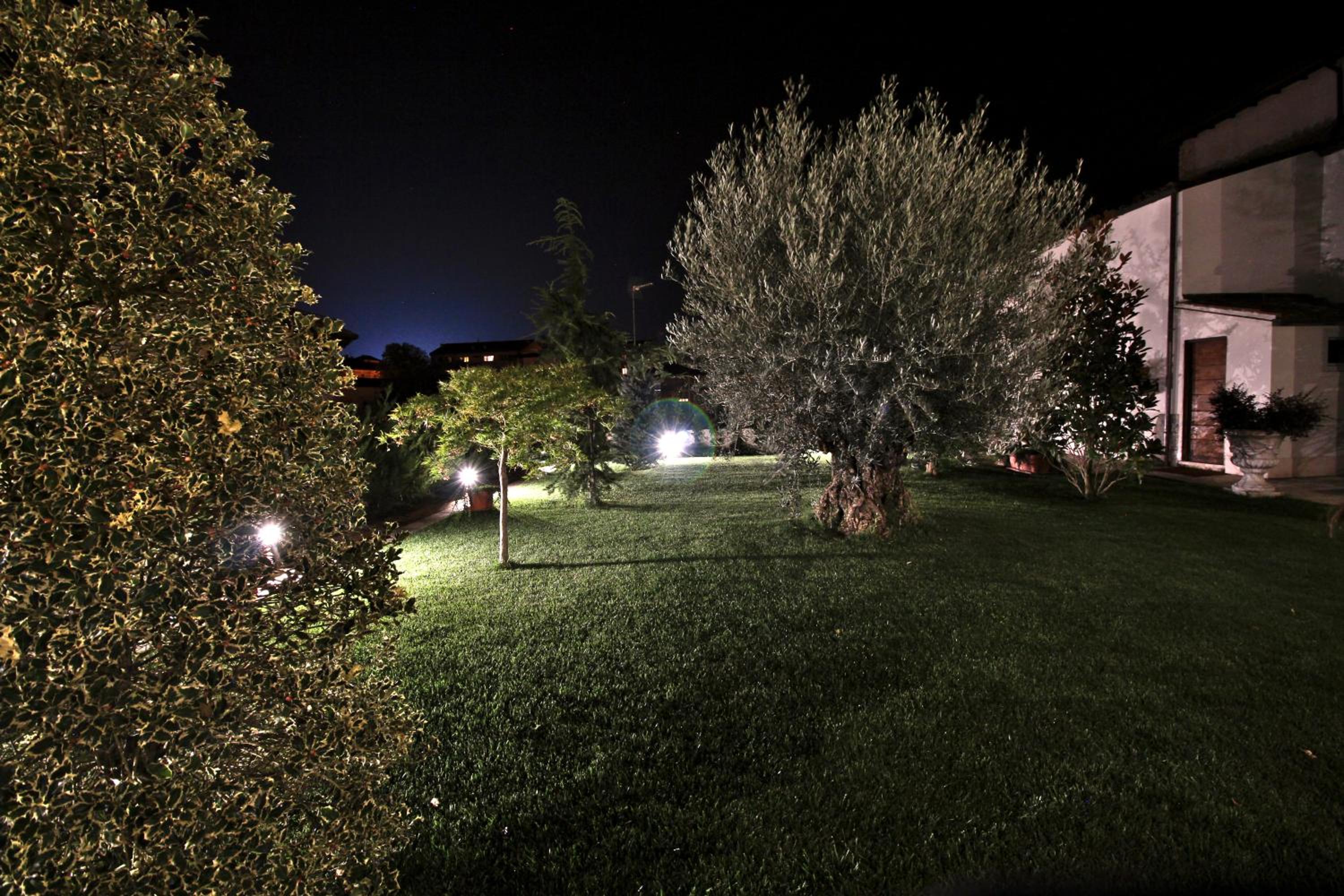Photo 22
