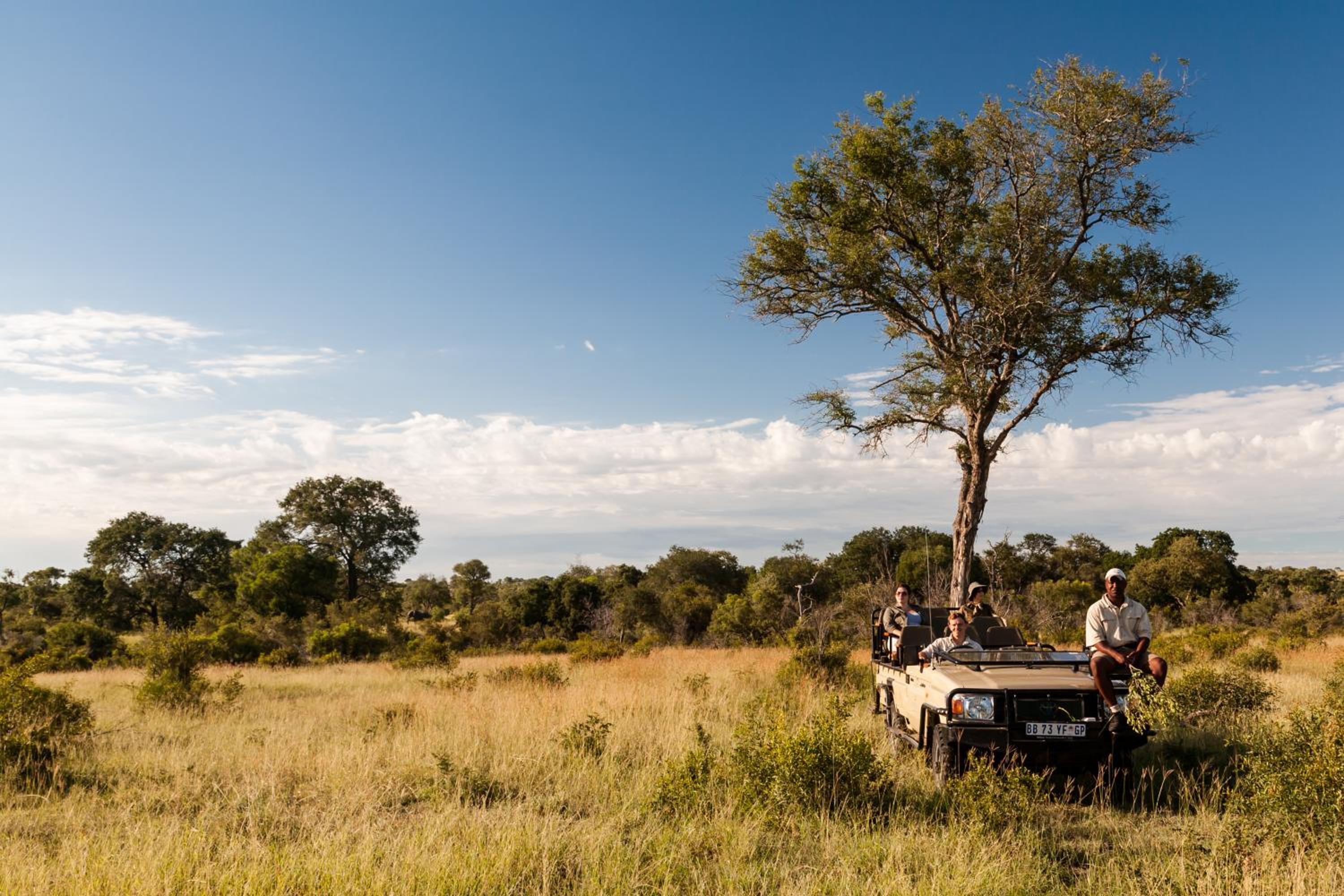 Tintswalo Safari