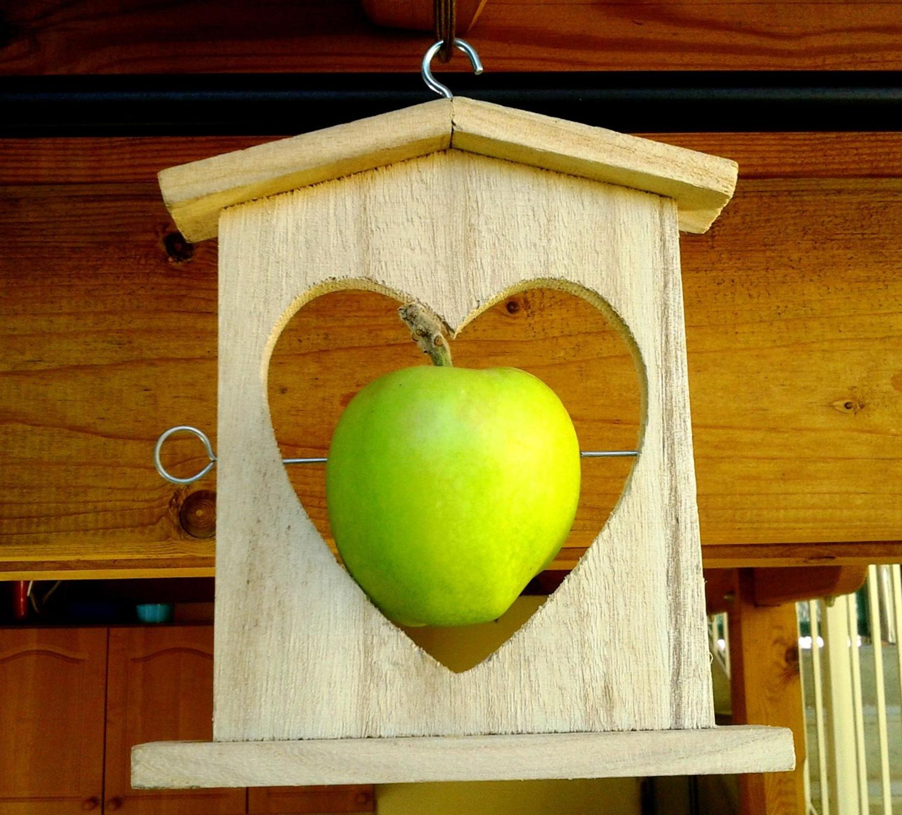 Photo 43