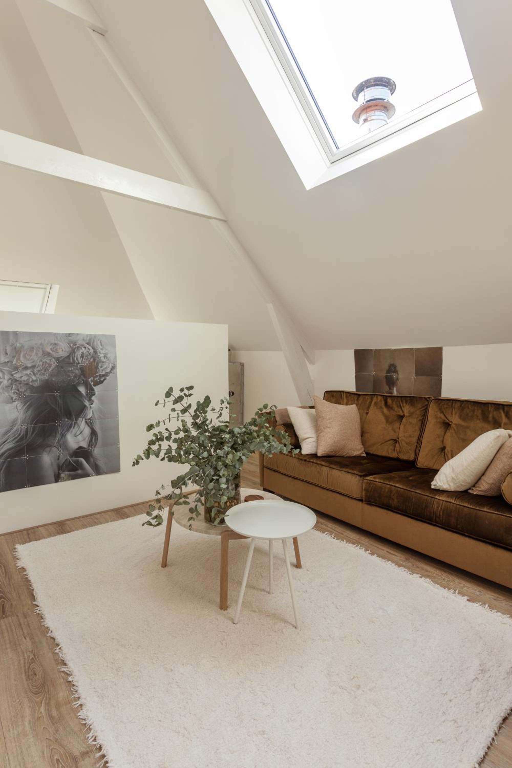 Huize Copes apartment Den Haag, 2 bed, 2 bath view 5