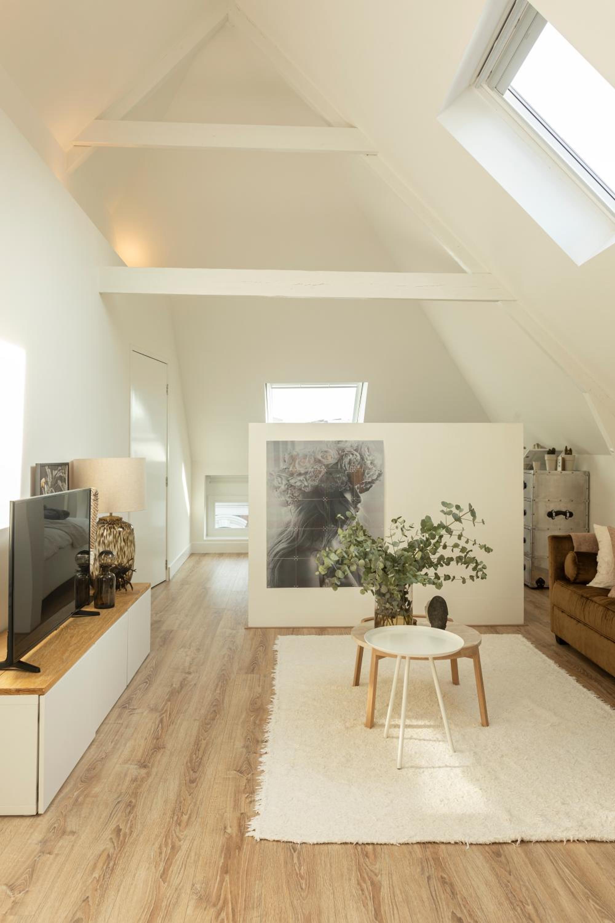 Huize Copes apartment Den Haag, 2 bed, 2 bath view 4