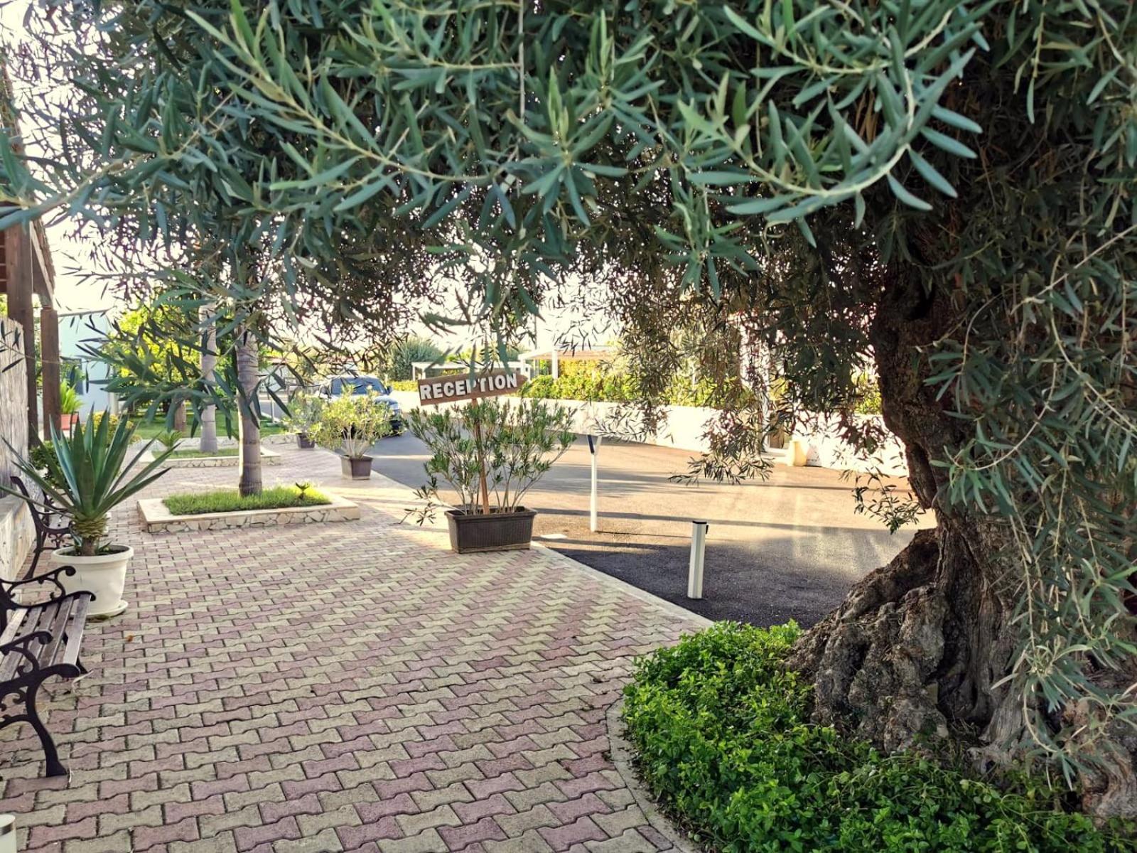 Terra Dei Limoni, fotografía 5
