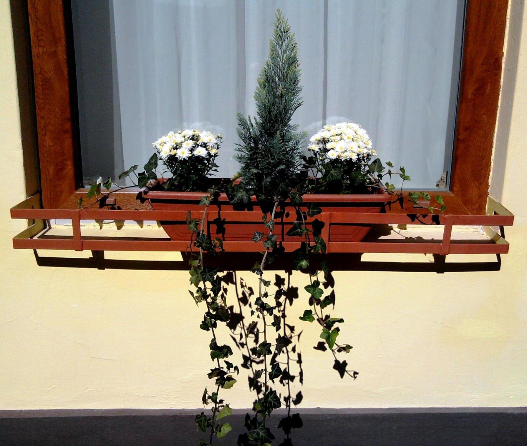 Photo 75