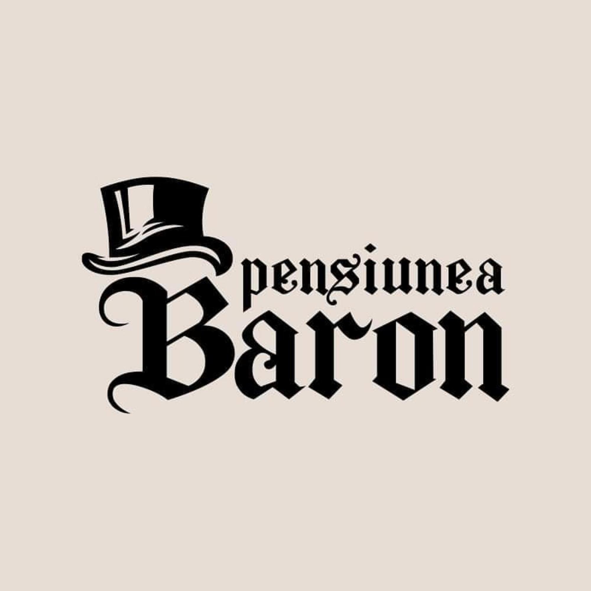 Pensiunea Baron Bazna view 2