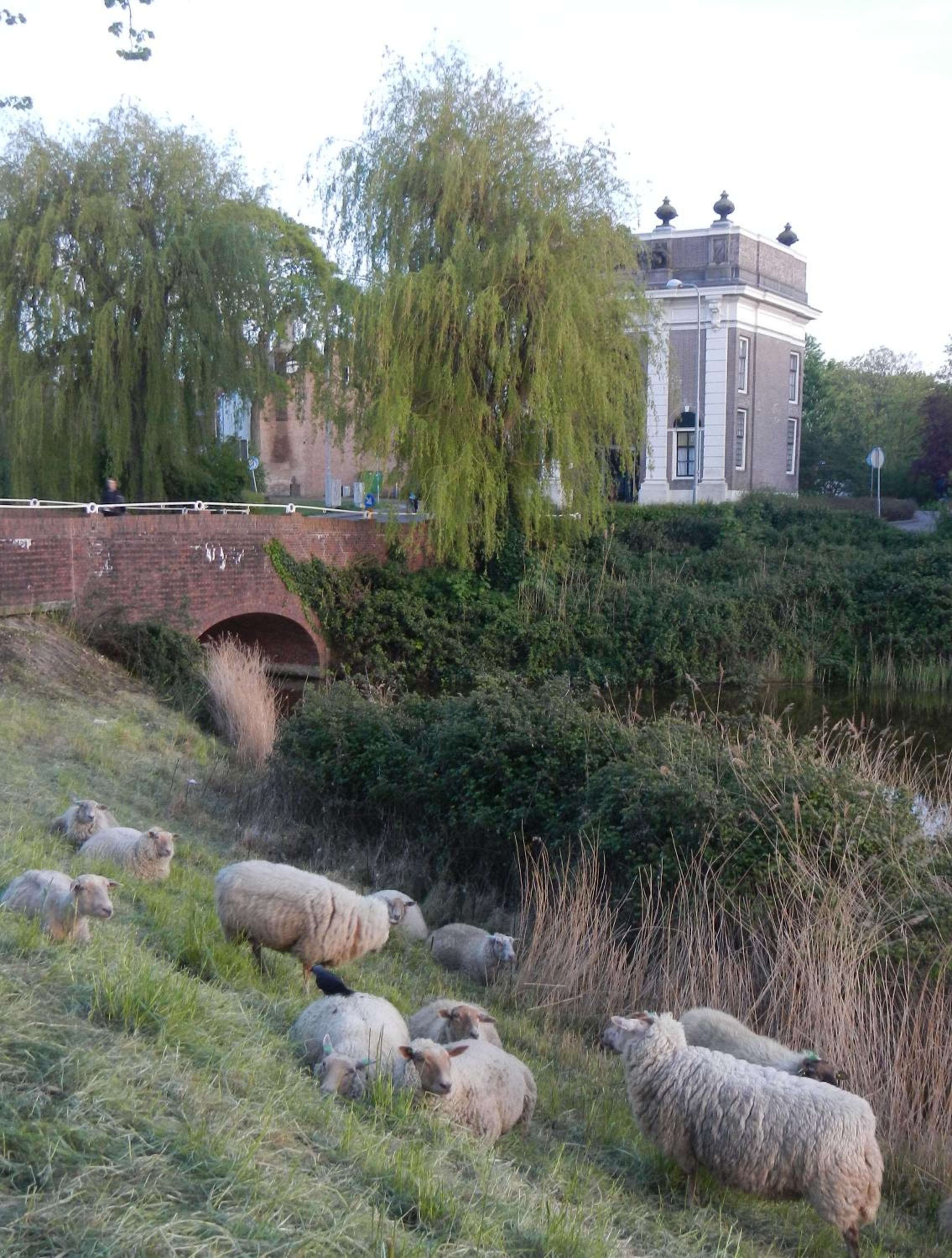 Photo 14