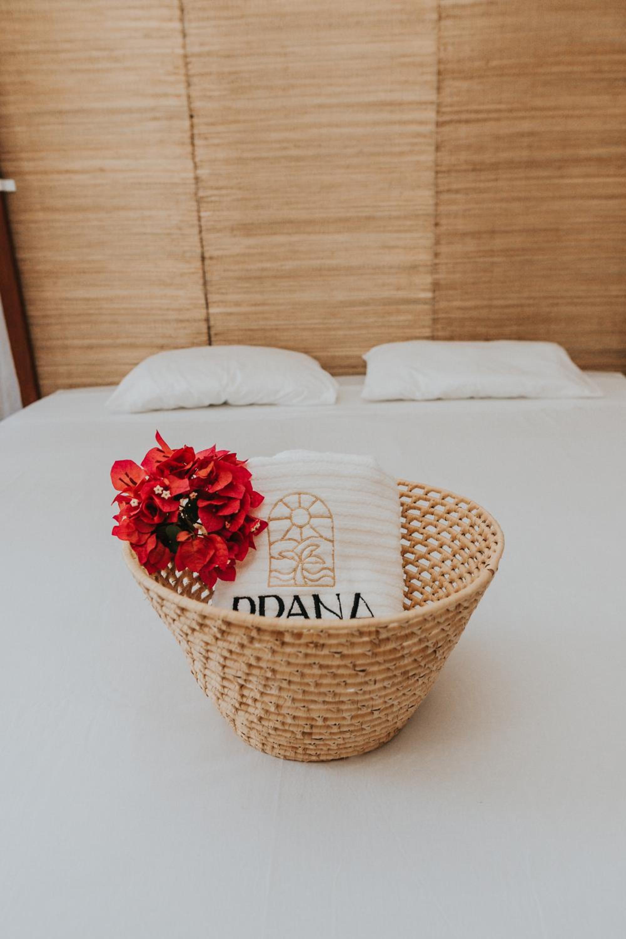 Prana Eco Villa