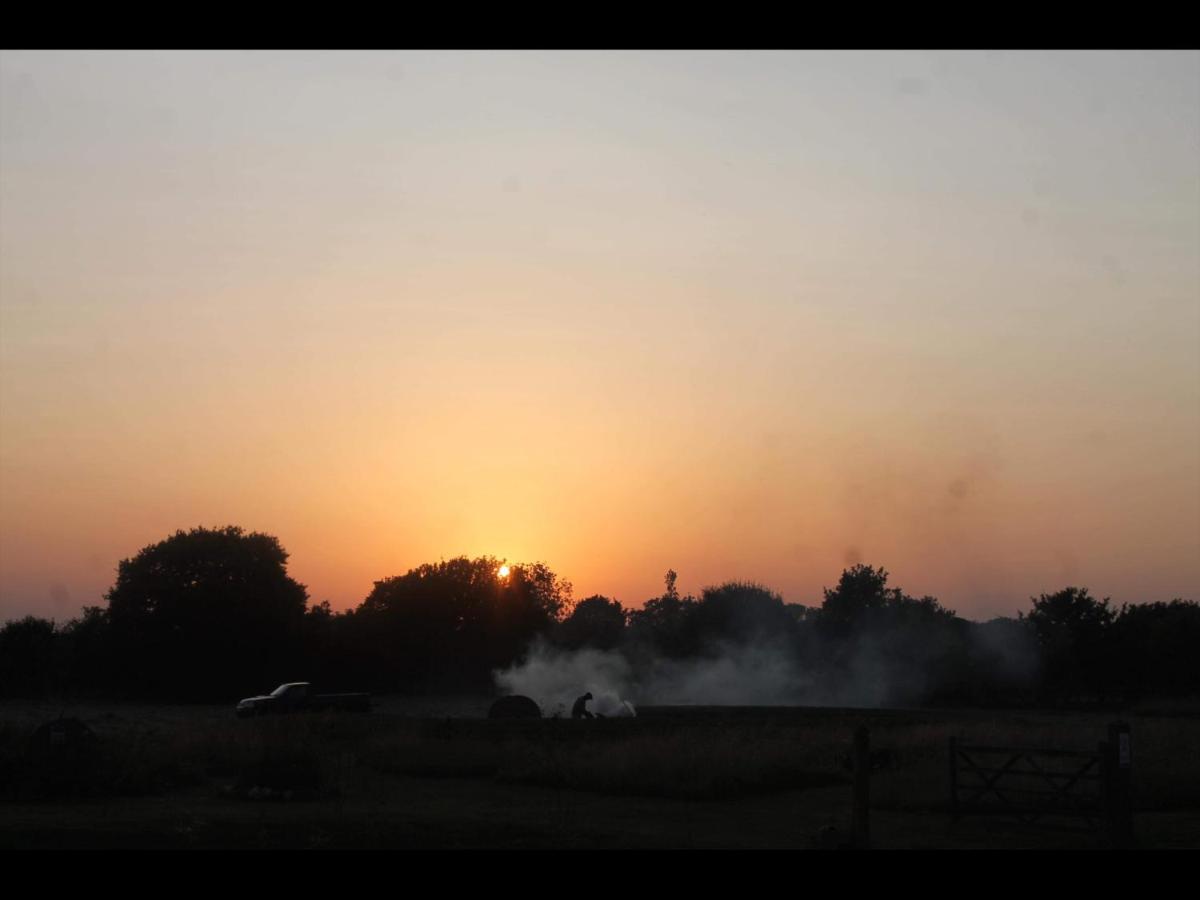 The Oaks Glamping - Rubie's Shepherds Hut view 3