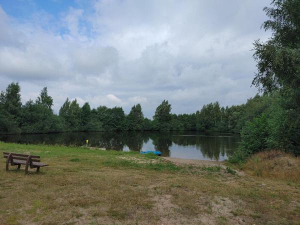 Photo 19