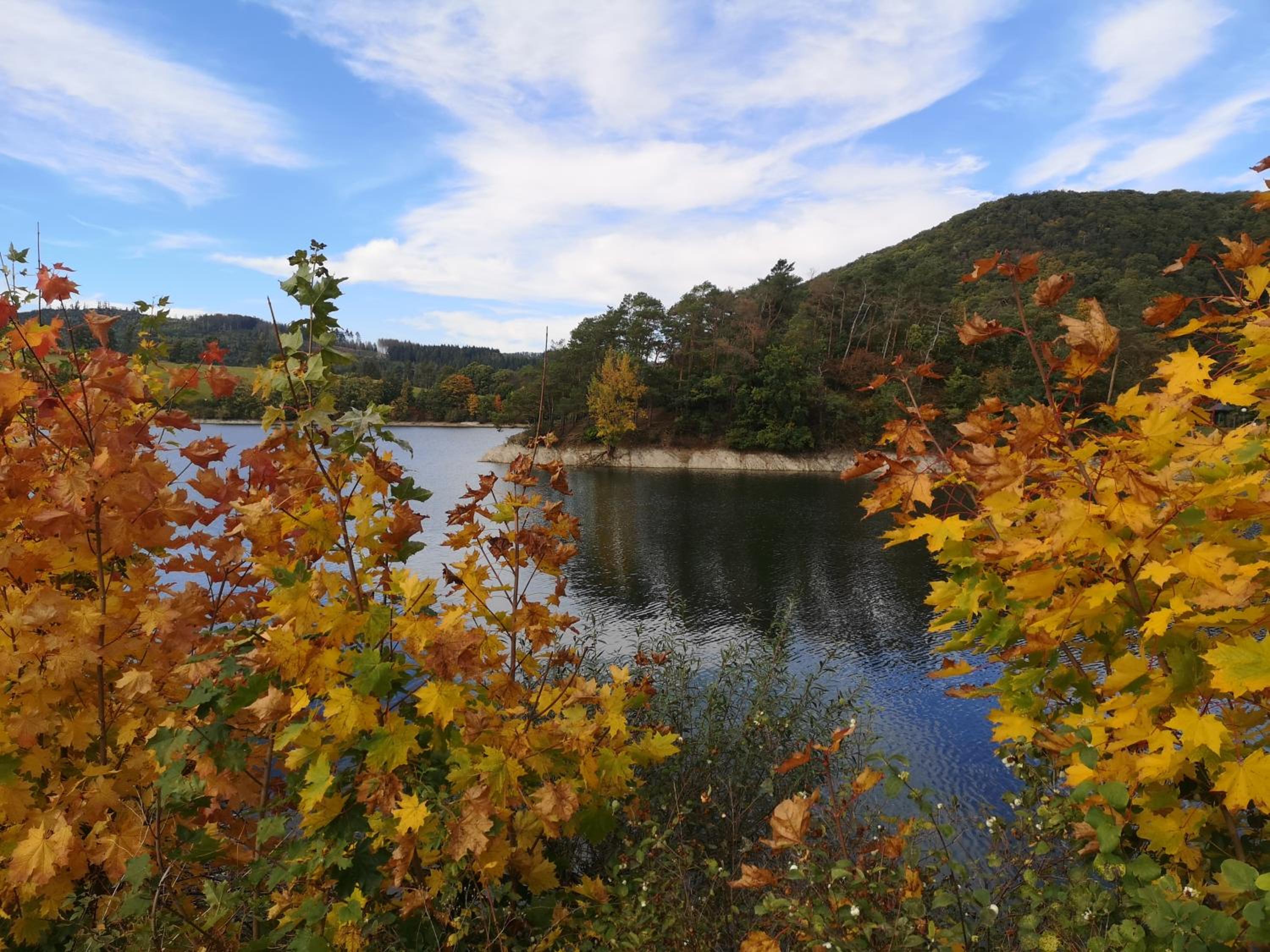 Top Ferienwohnung am Diemelsee, Sauerland Nähe Willingen Winterberg